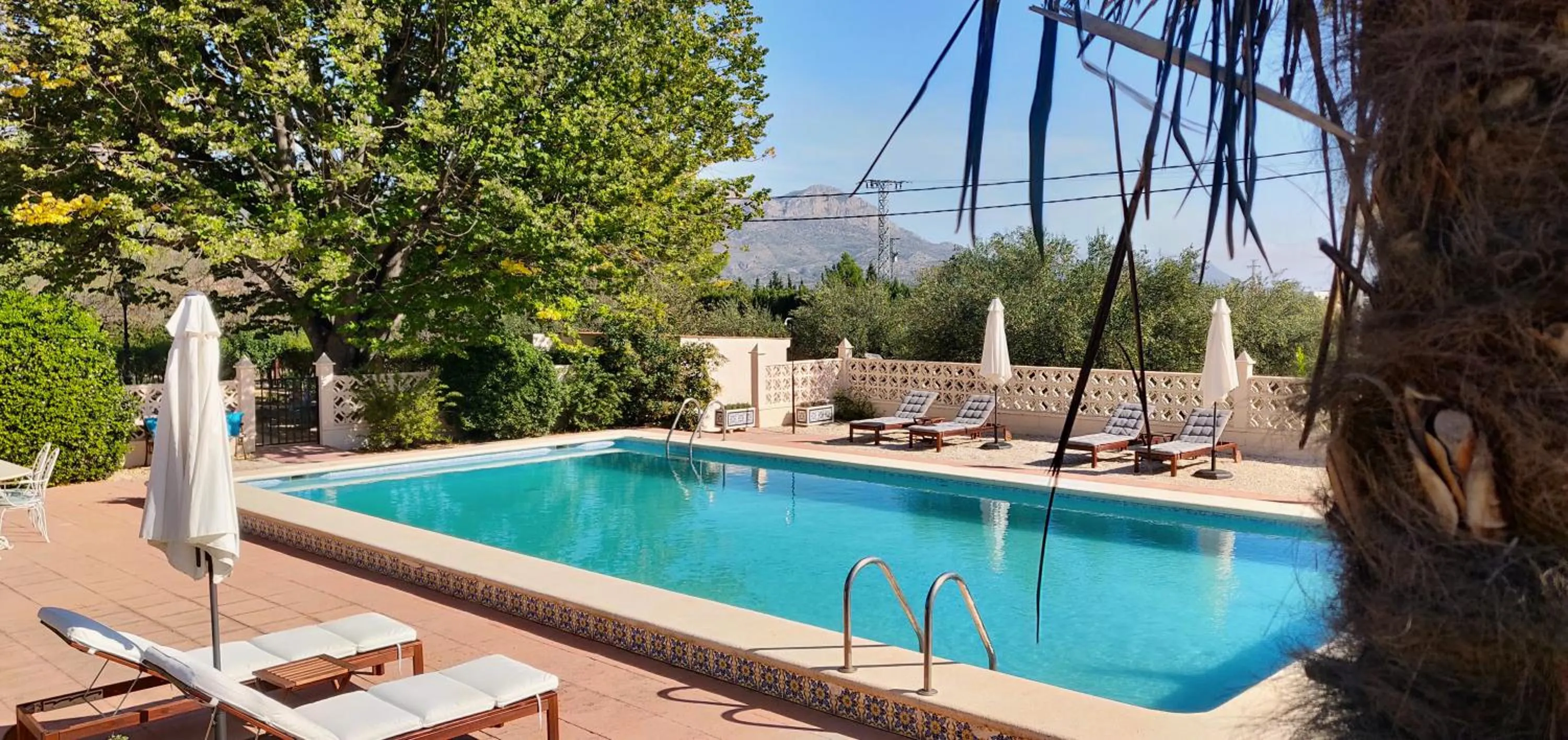 Day in Casa de Los Lirios