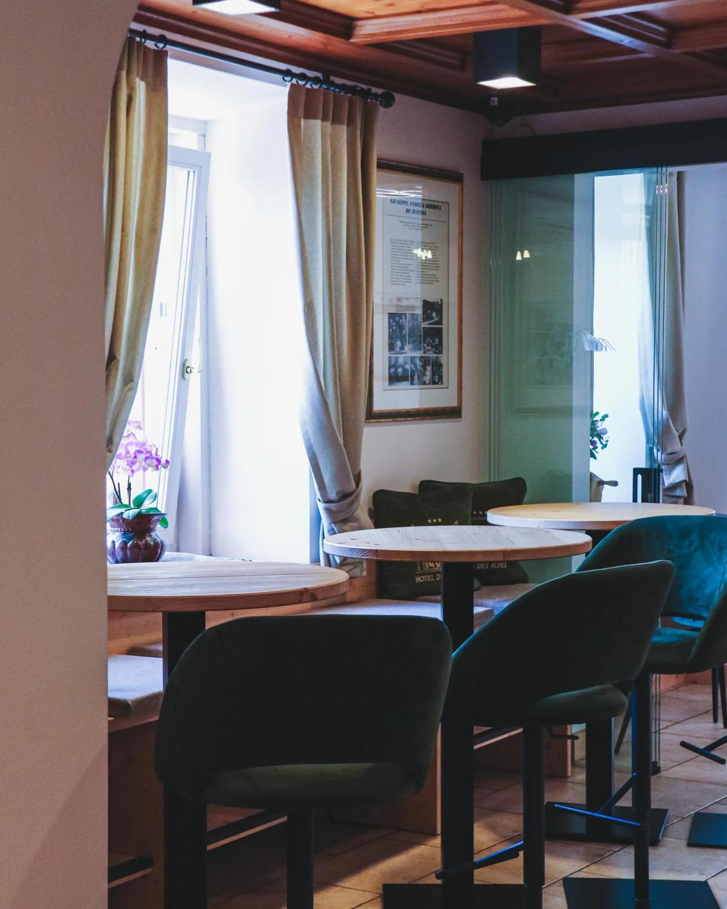 Lounge or bar in Hotel Des Alpes