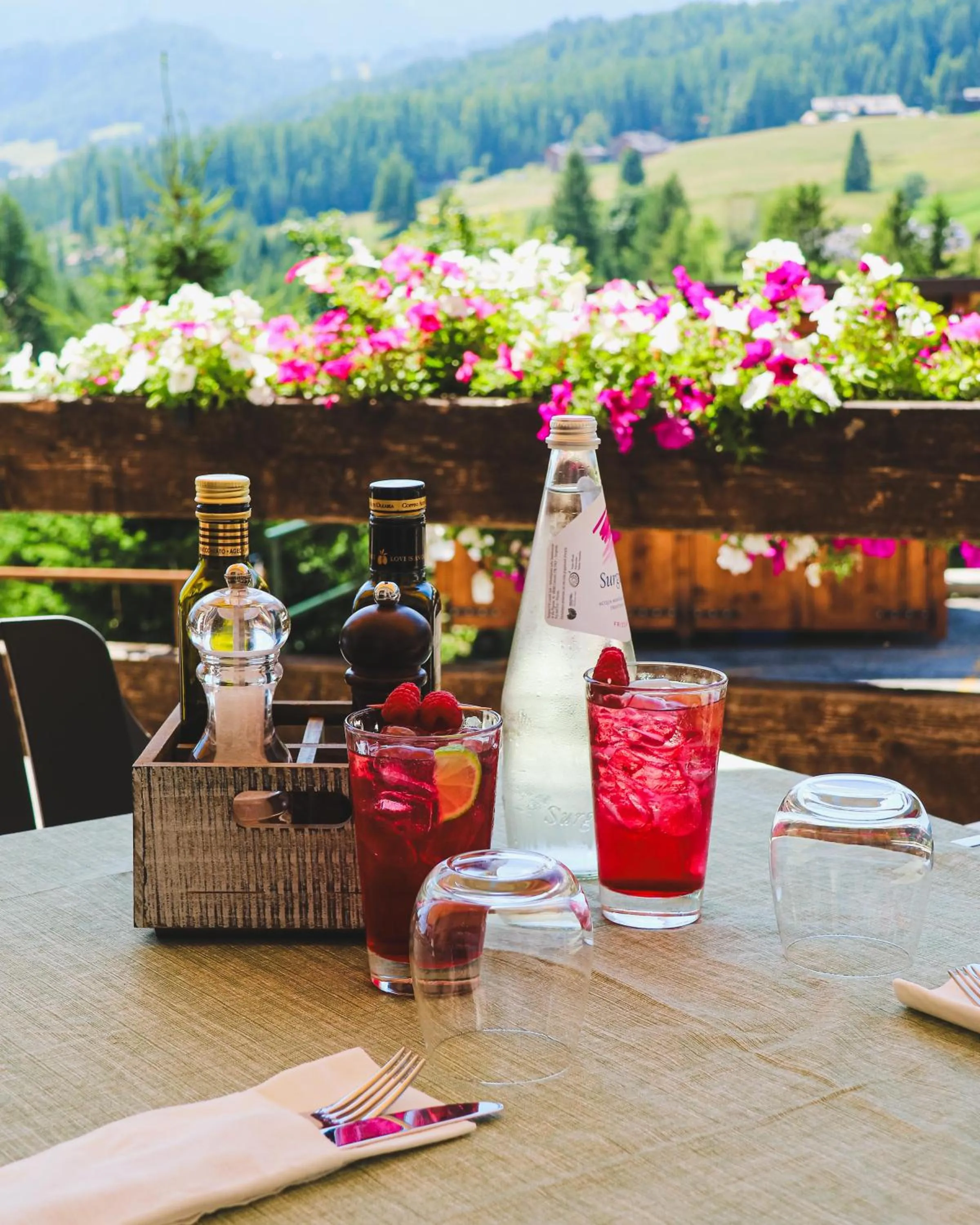 Balcony/Terrace in Hotel Des Alpes
