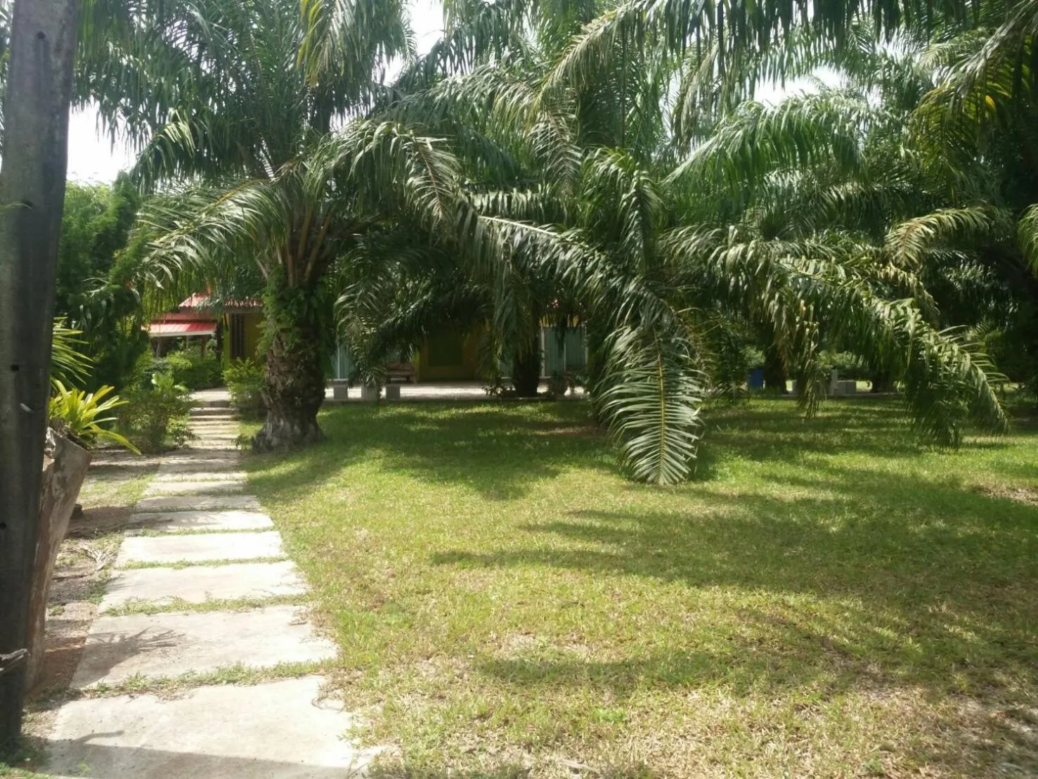 Property building in Baan Suan Nam Resort