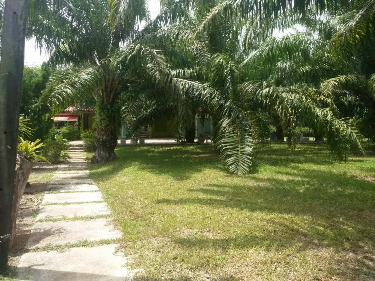 Property building in Baan Suan Nam Resort Property building in Baan Suan Nam Resort