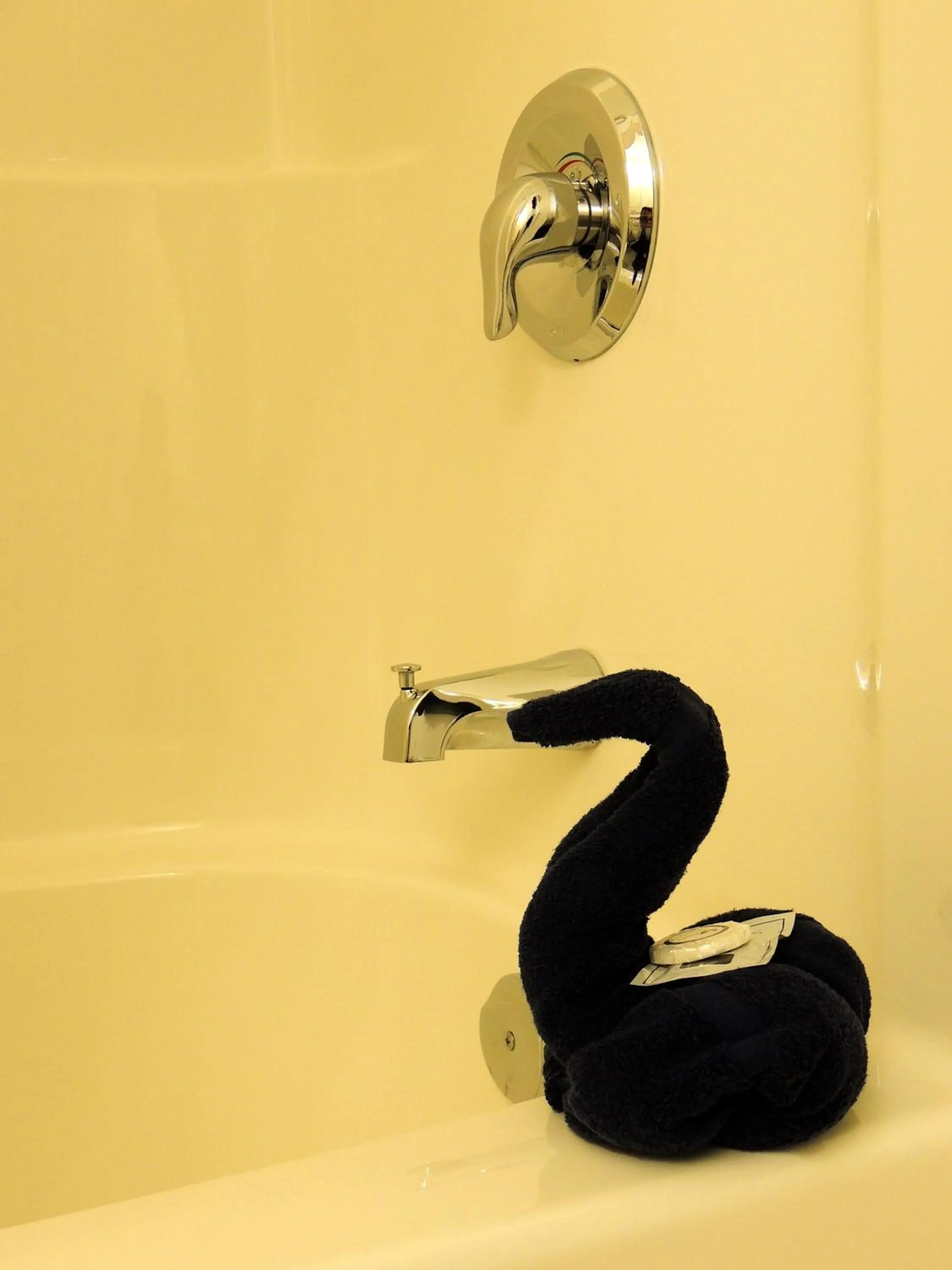 Bathroom in 100 Mile Motel & RV Park