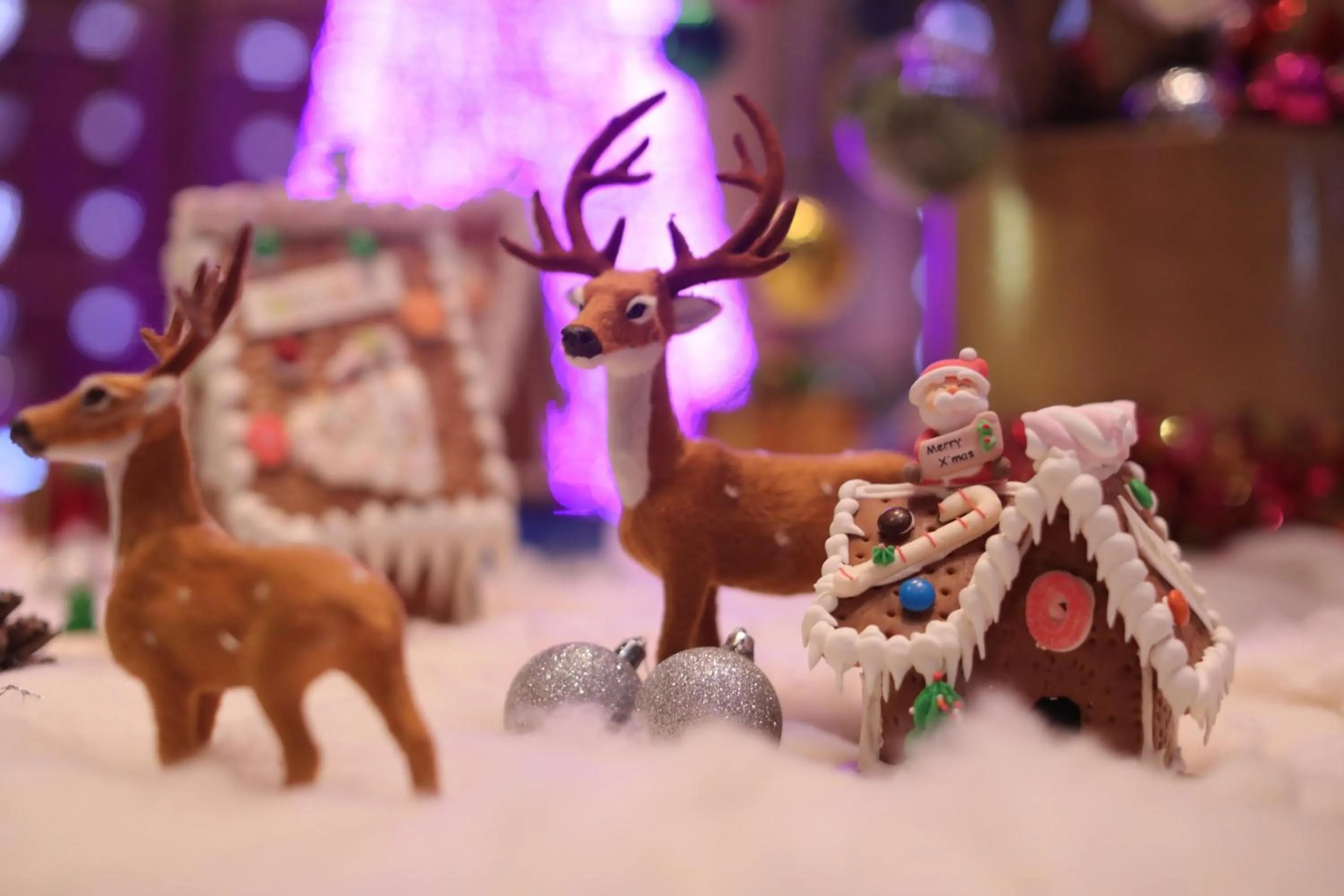 Lobby or reception in Kempinski Hotel Xiamen