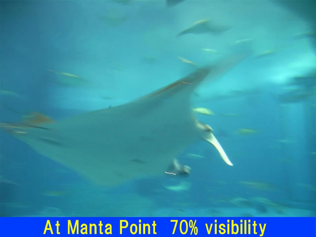 Activities in Beach Village Nosoko