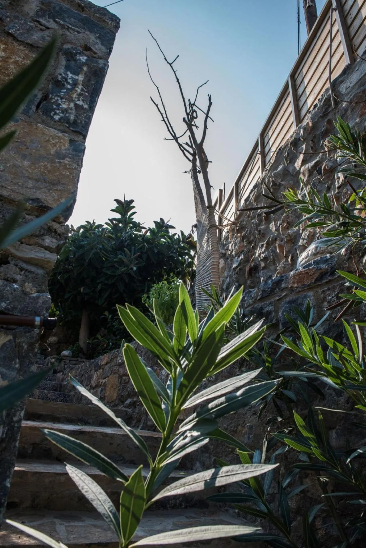 Natural landscape in Istron Breeze Cocoon