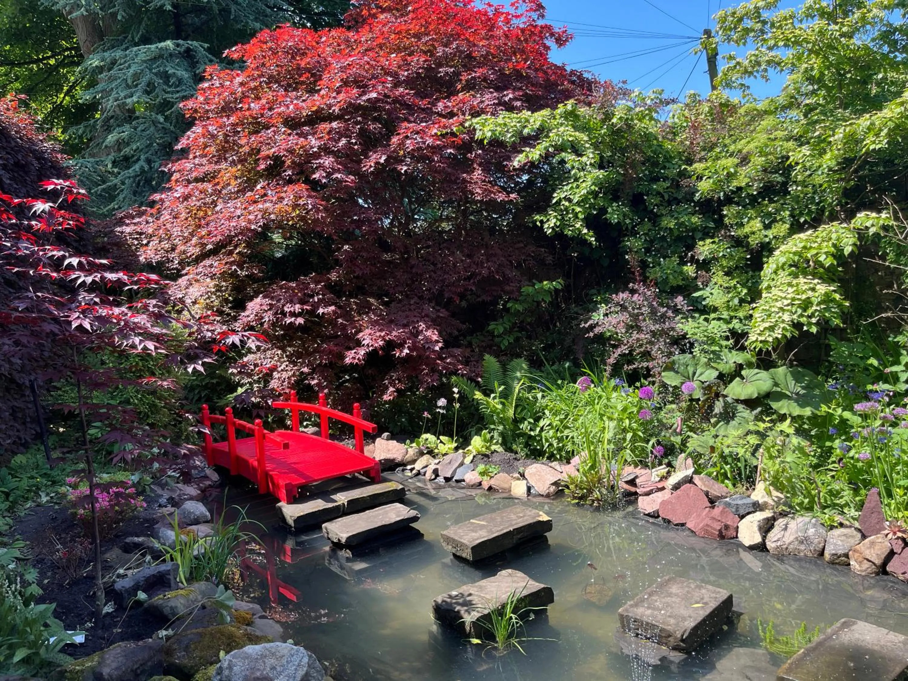 Garden in The Studio at Maspie House