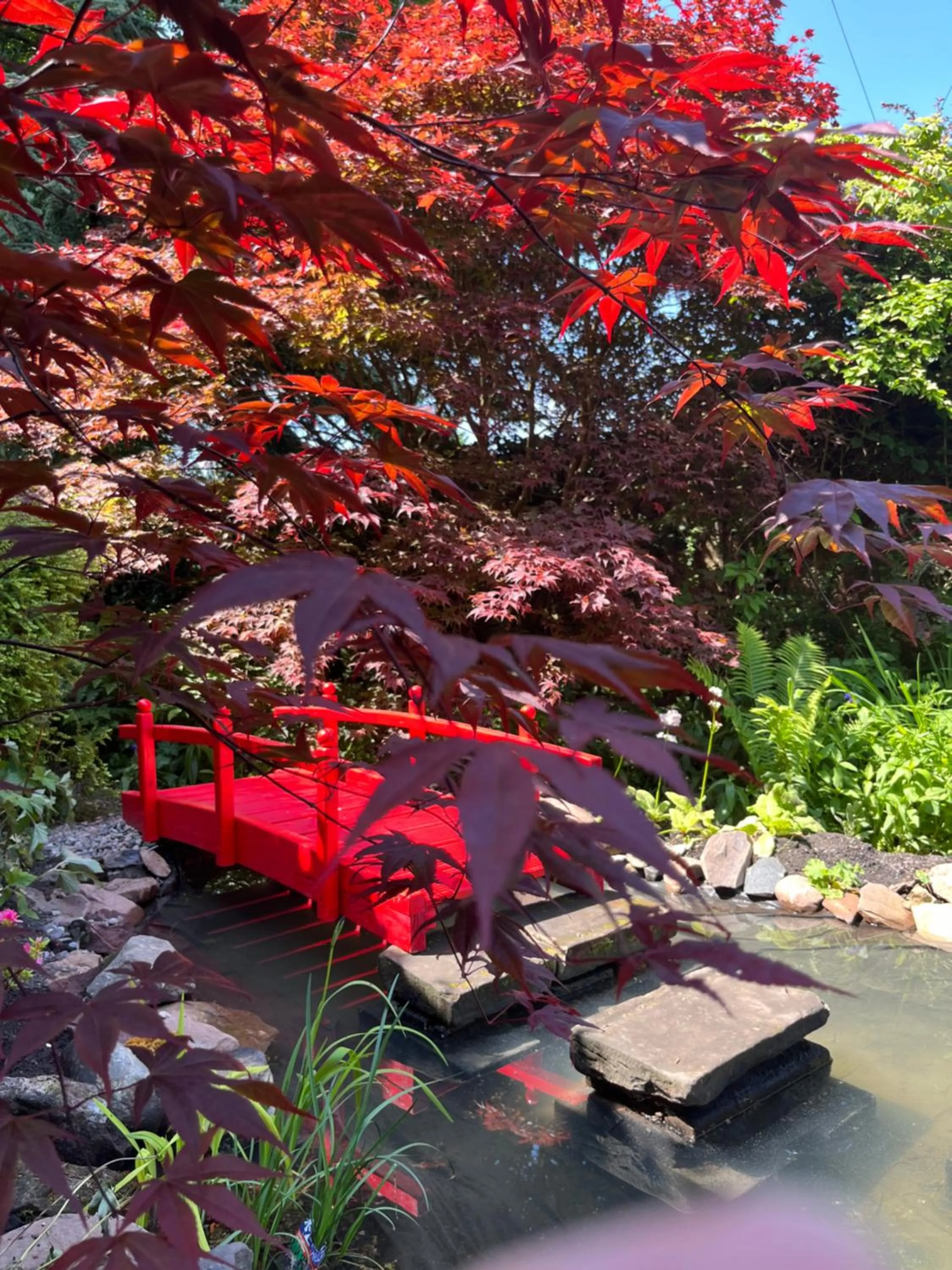 Garden in The Studio at Maspie House