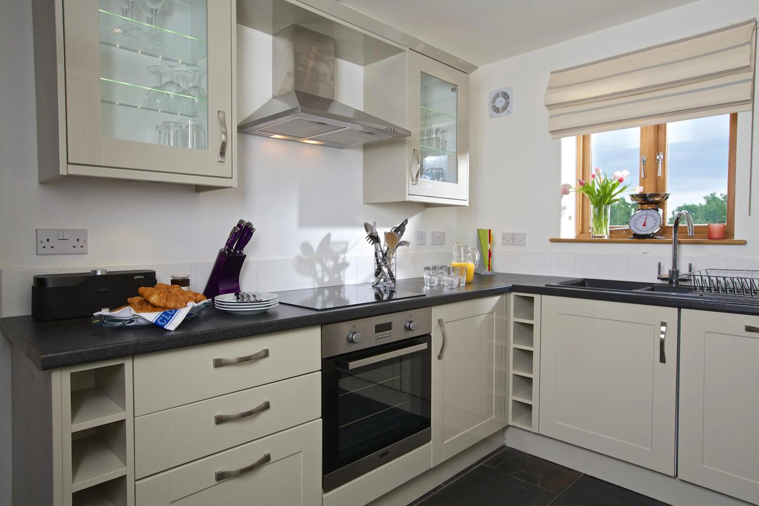 Kitchen or kitchenette in Dartmouth Green Lodges