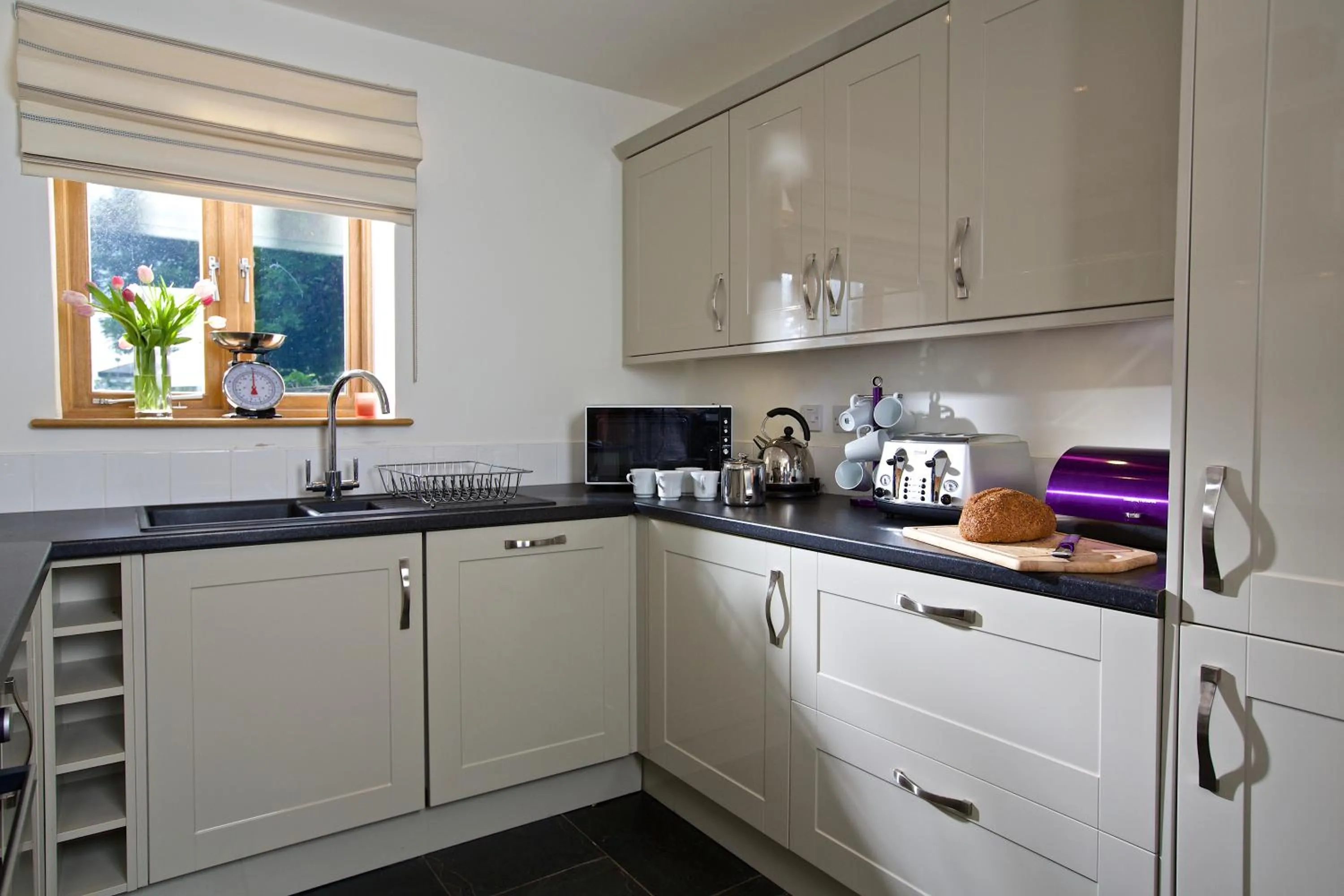 Kitchen or kitchenette in Dartmouth Green Lodges