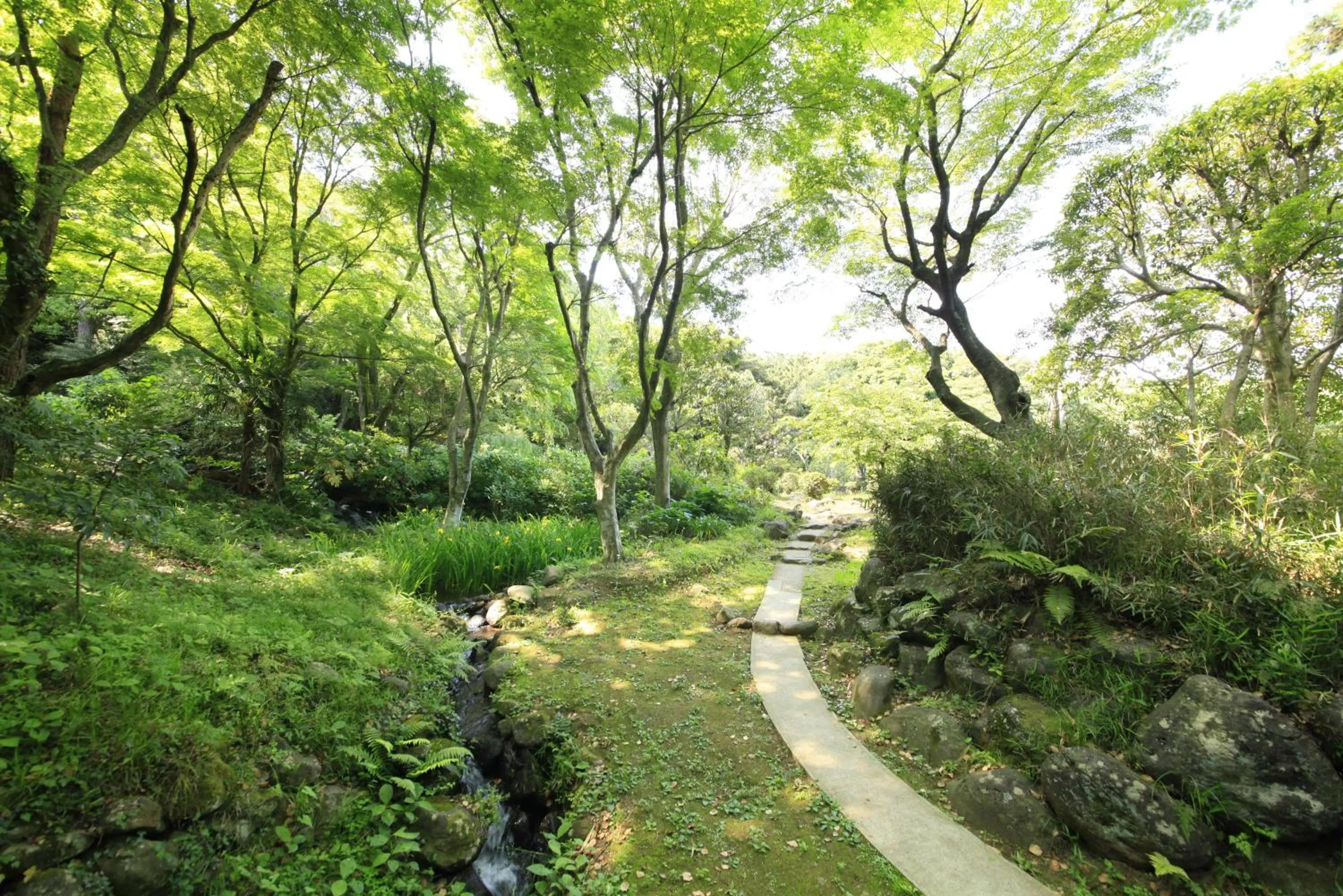 Garden in Izuajiro-onsen Shoufuen