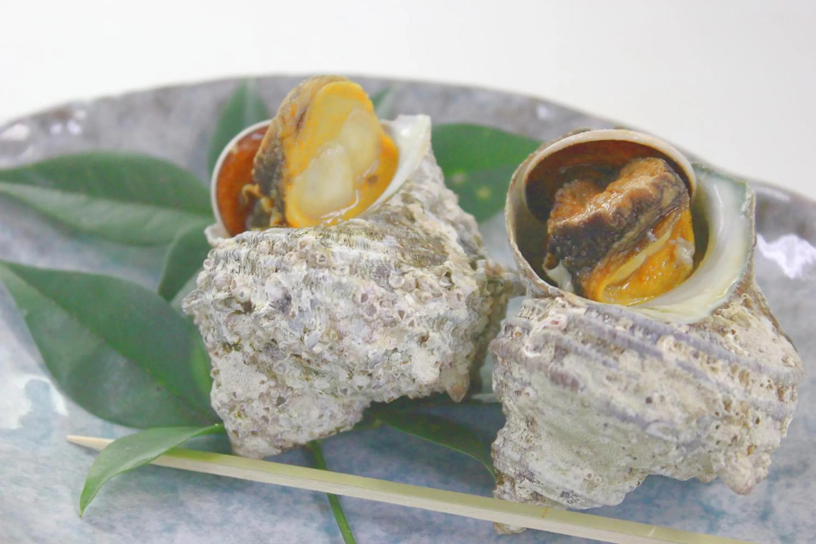 Izuajiro-onsen Shoufuen