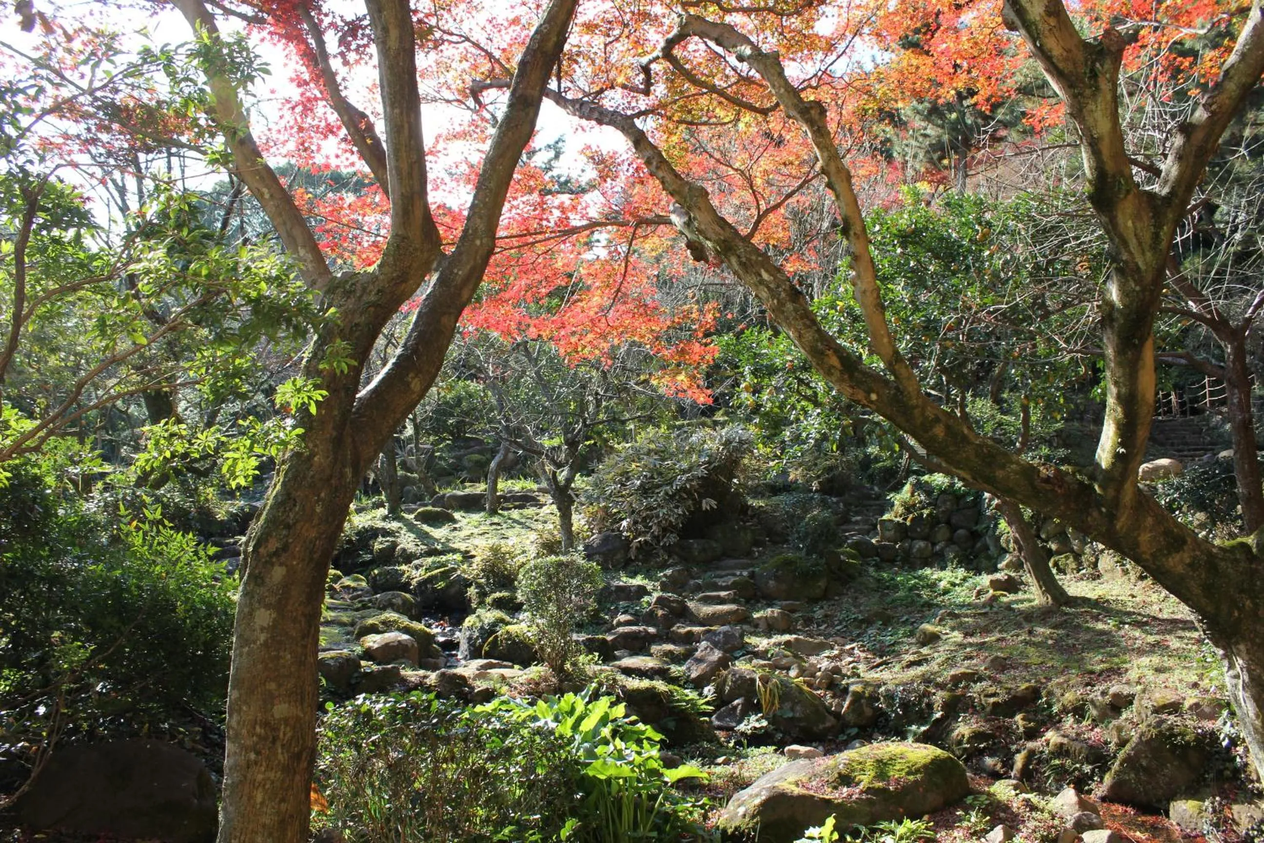 Izuajiro-onsen Shoufuen