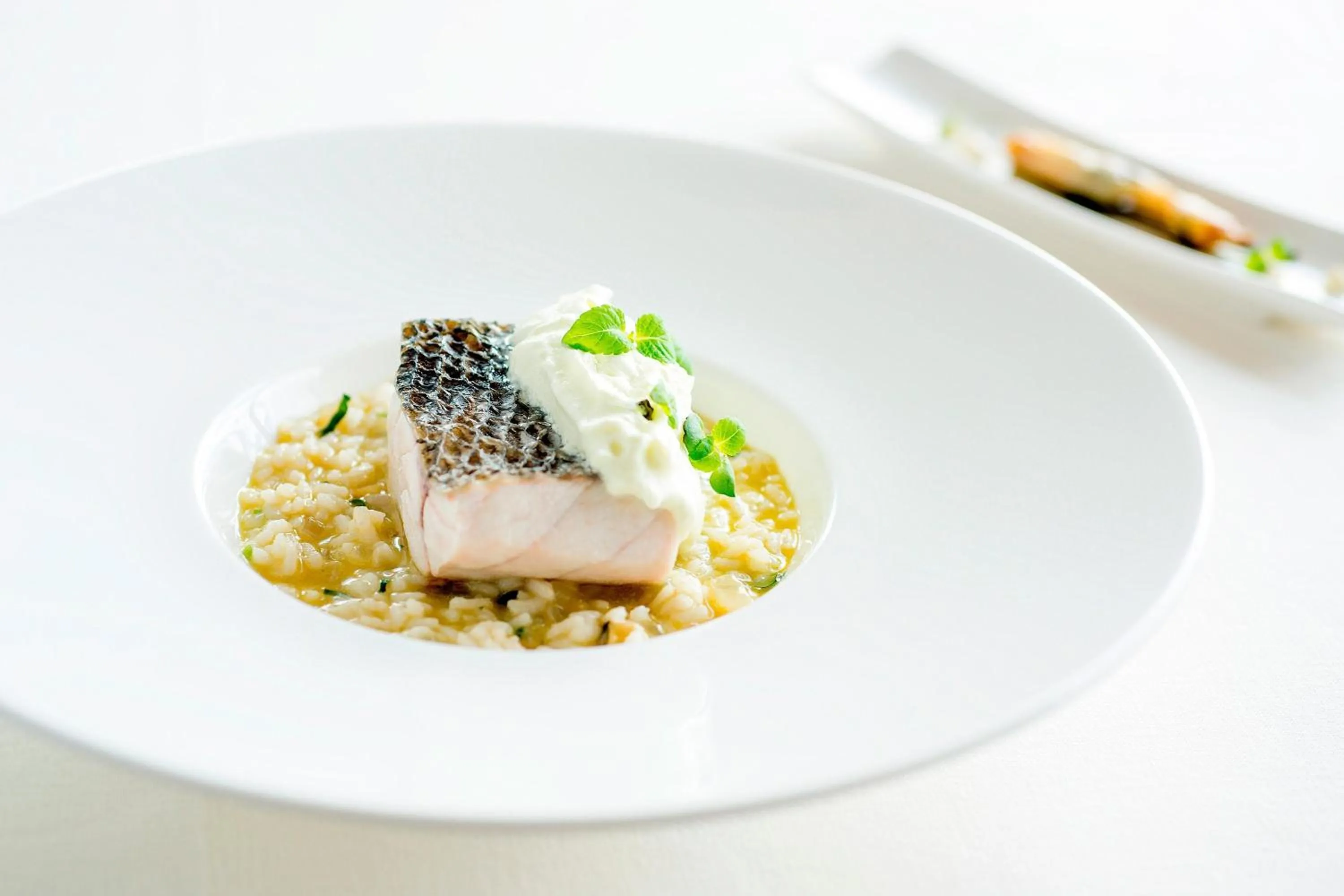 Restaurant/places to eat in Sheraton Lisboa Hotel & Spa