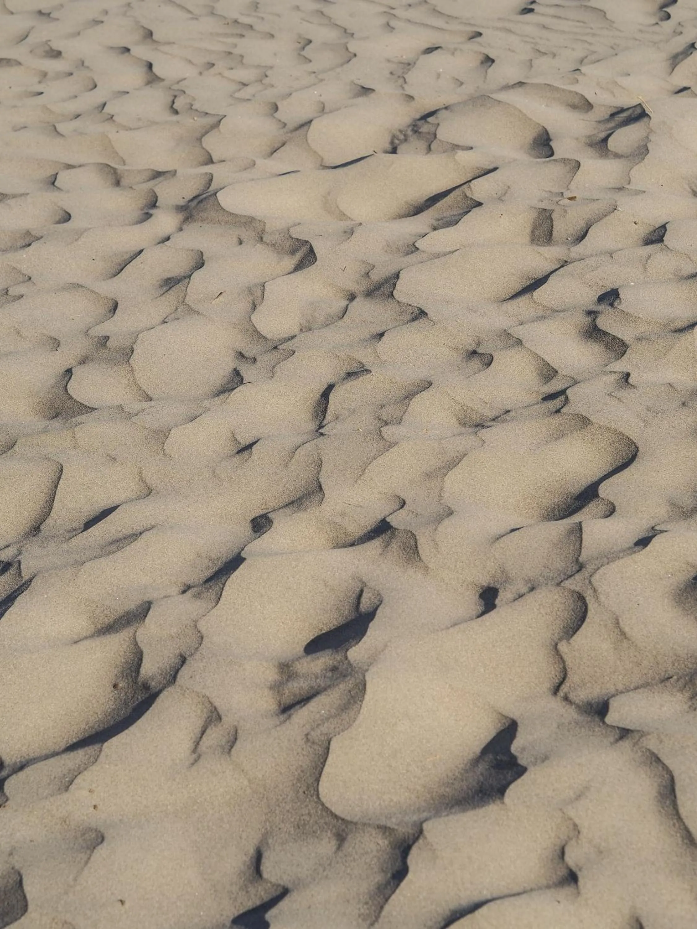 Likya Yolu Palas Hotel