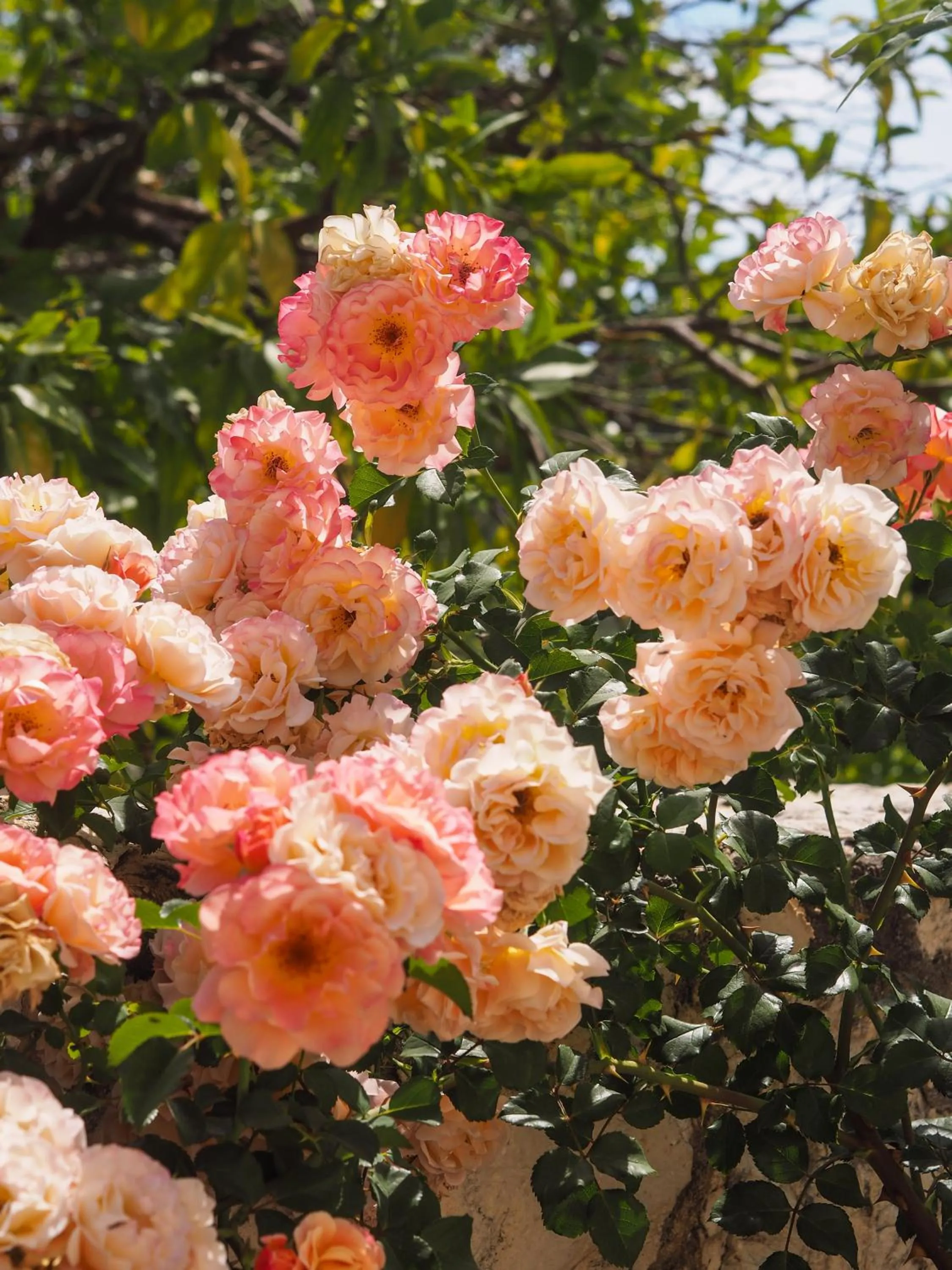 Likya Yolu Palas Hotel