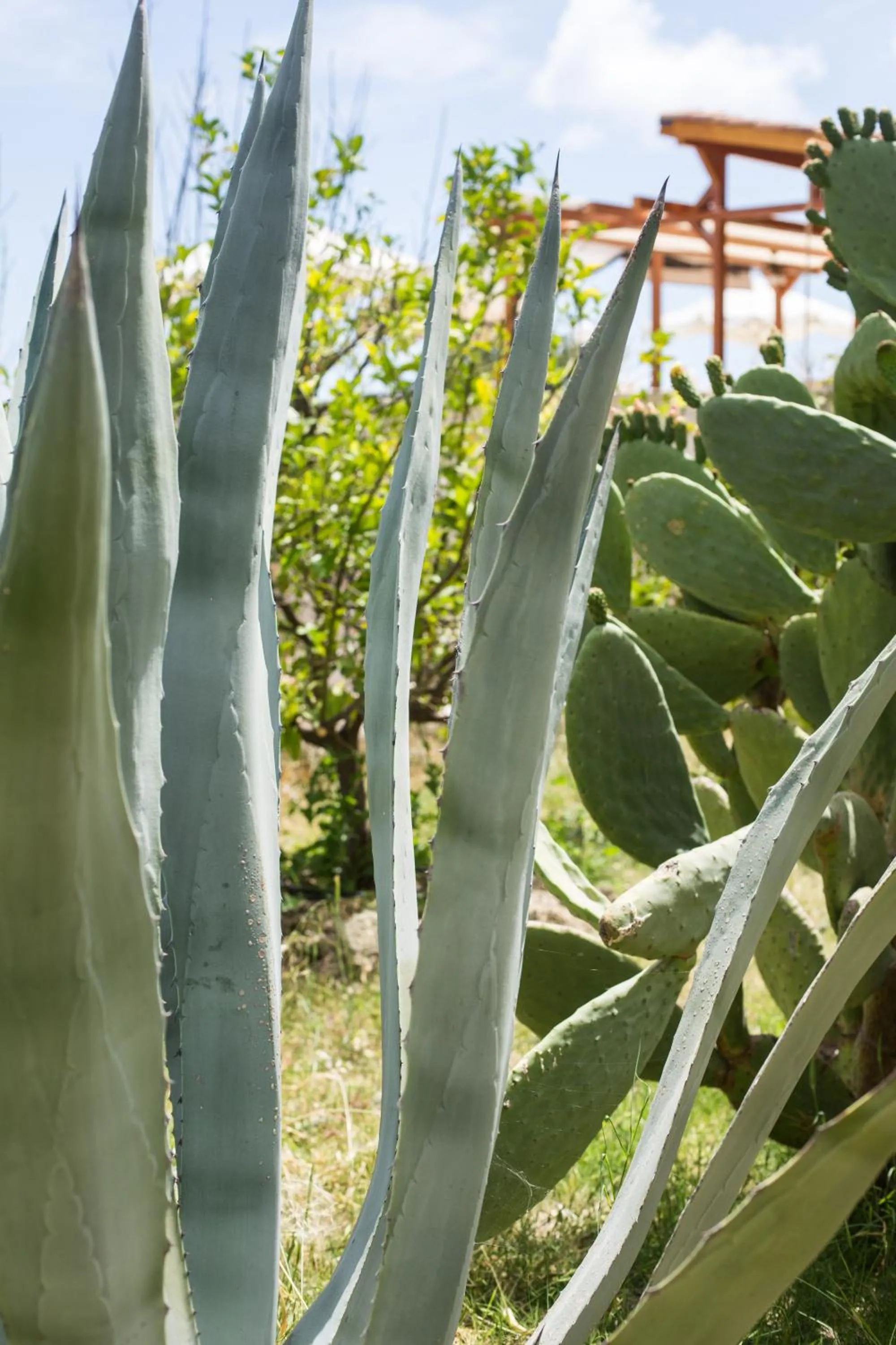 Likya Yolu Palas Hotel