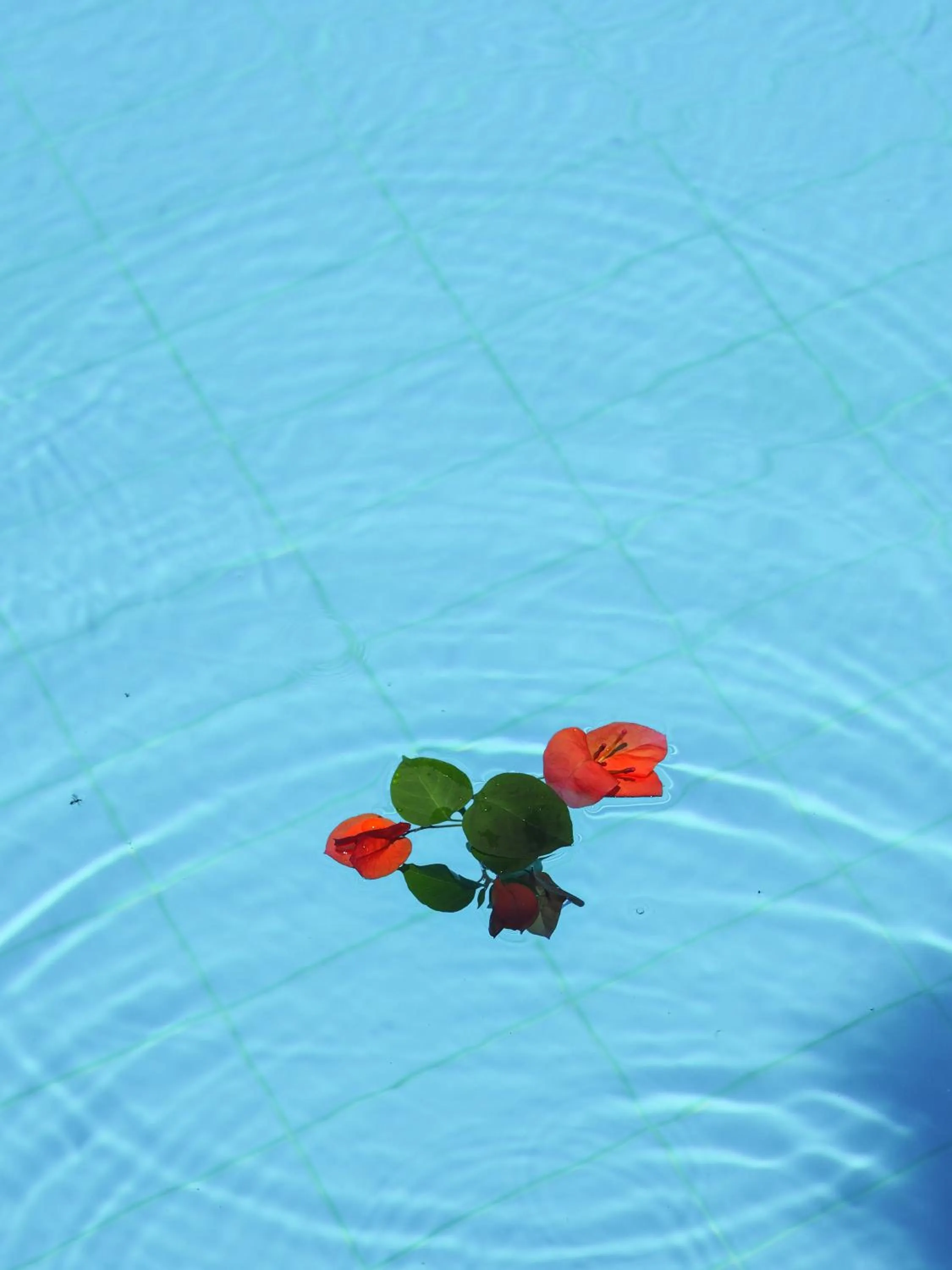 Likya Yolu Palas Hotel