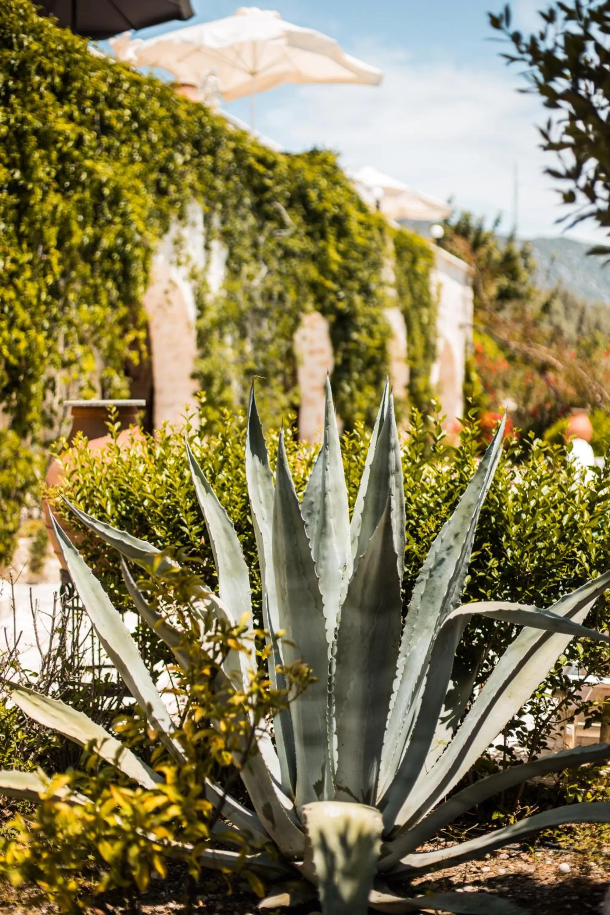 Likya Yolu Palas Hotel