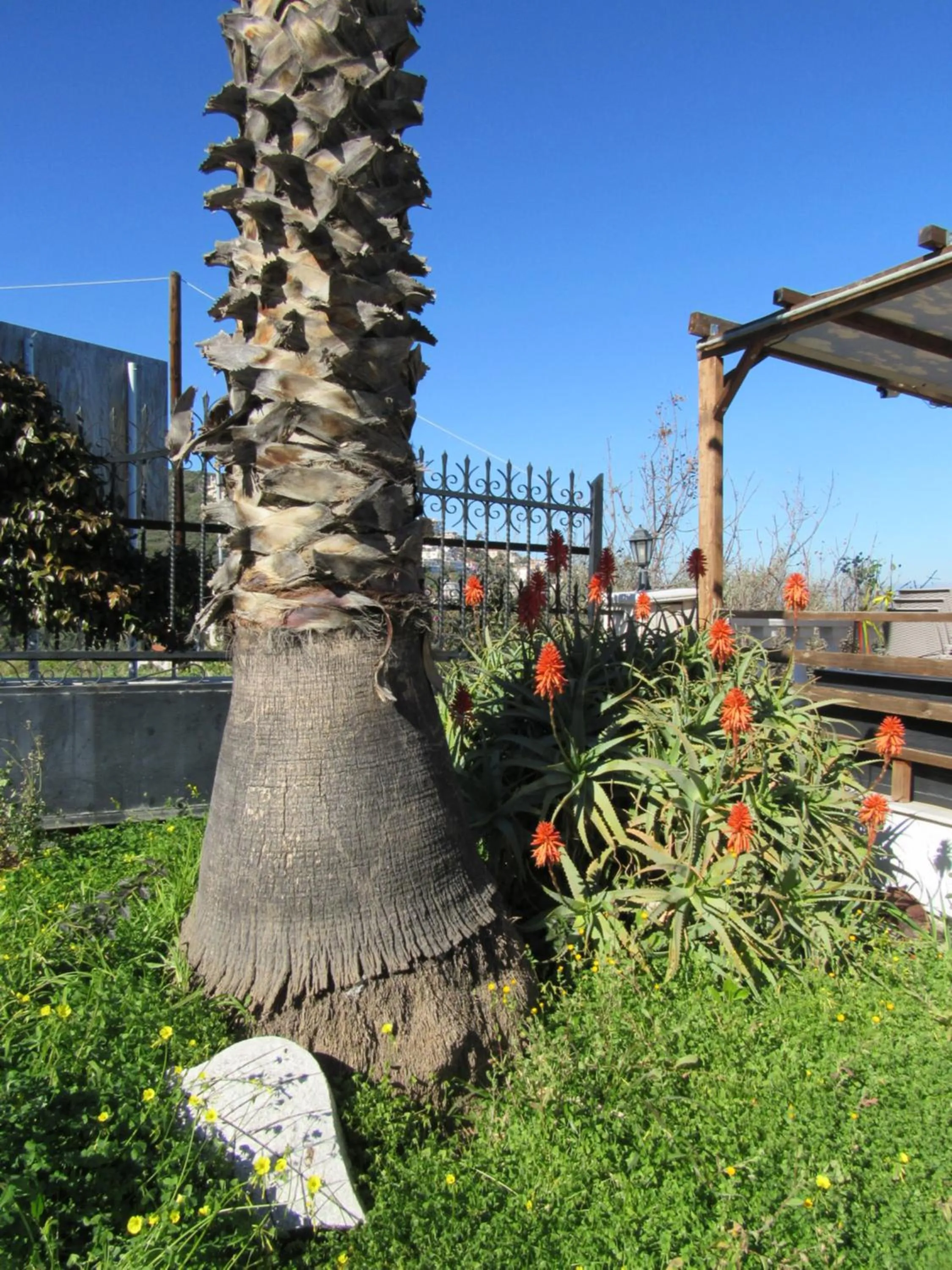 Garden in Kallisto studios