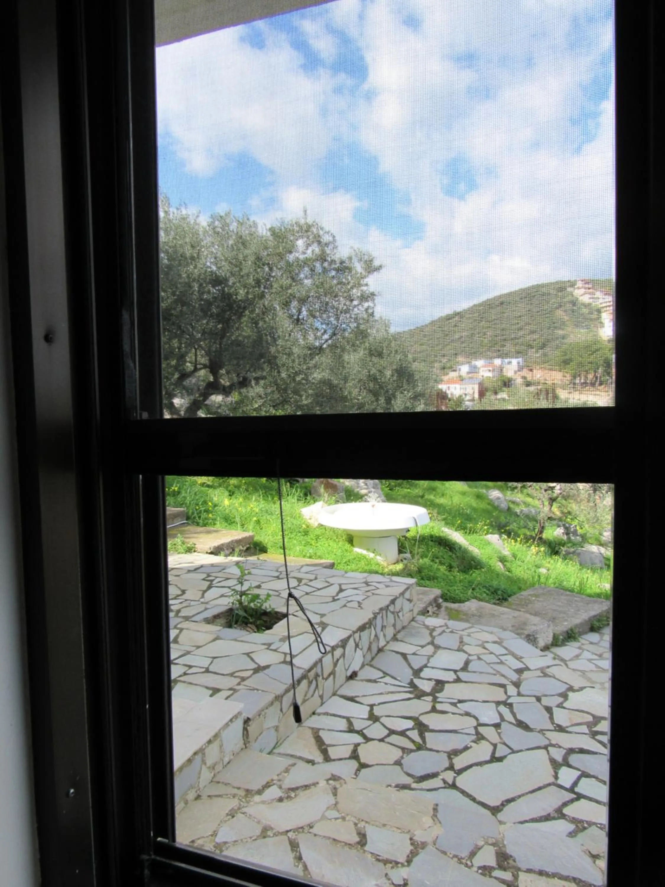 Day in Kallisto studios