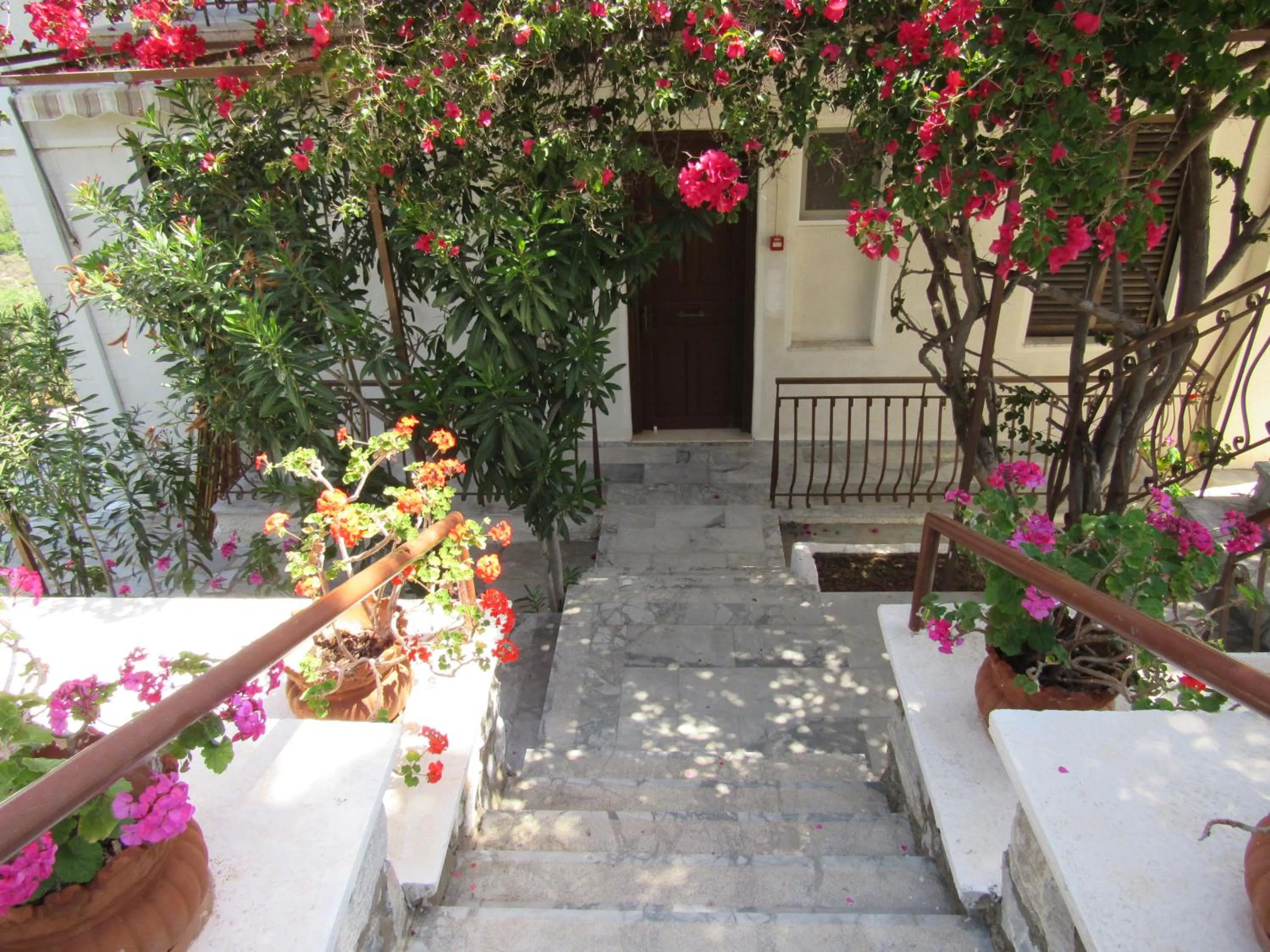 Facade/entrance in Kallisto studios