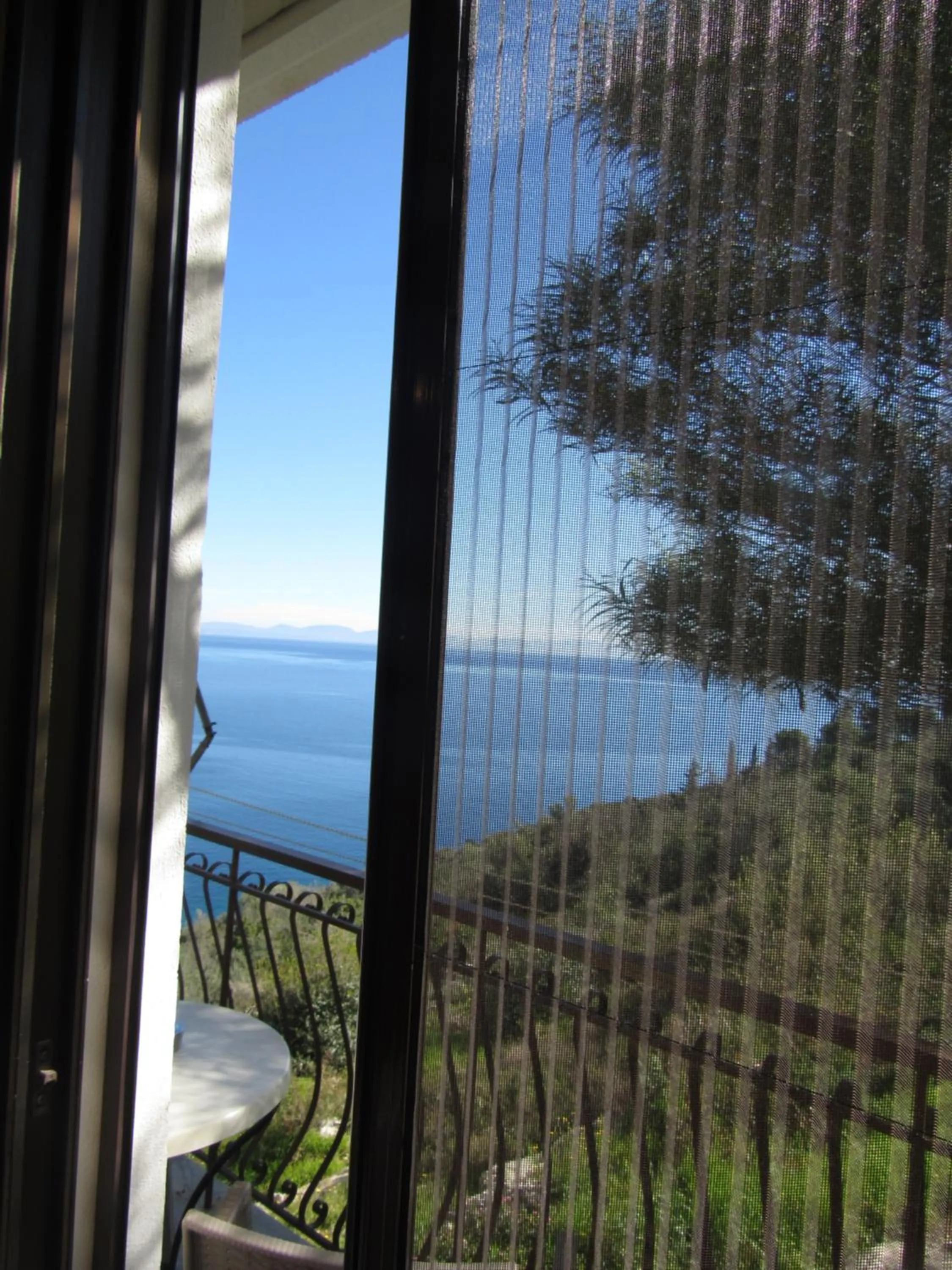 Day in Kallisto studios