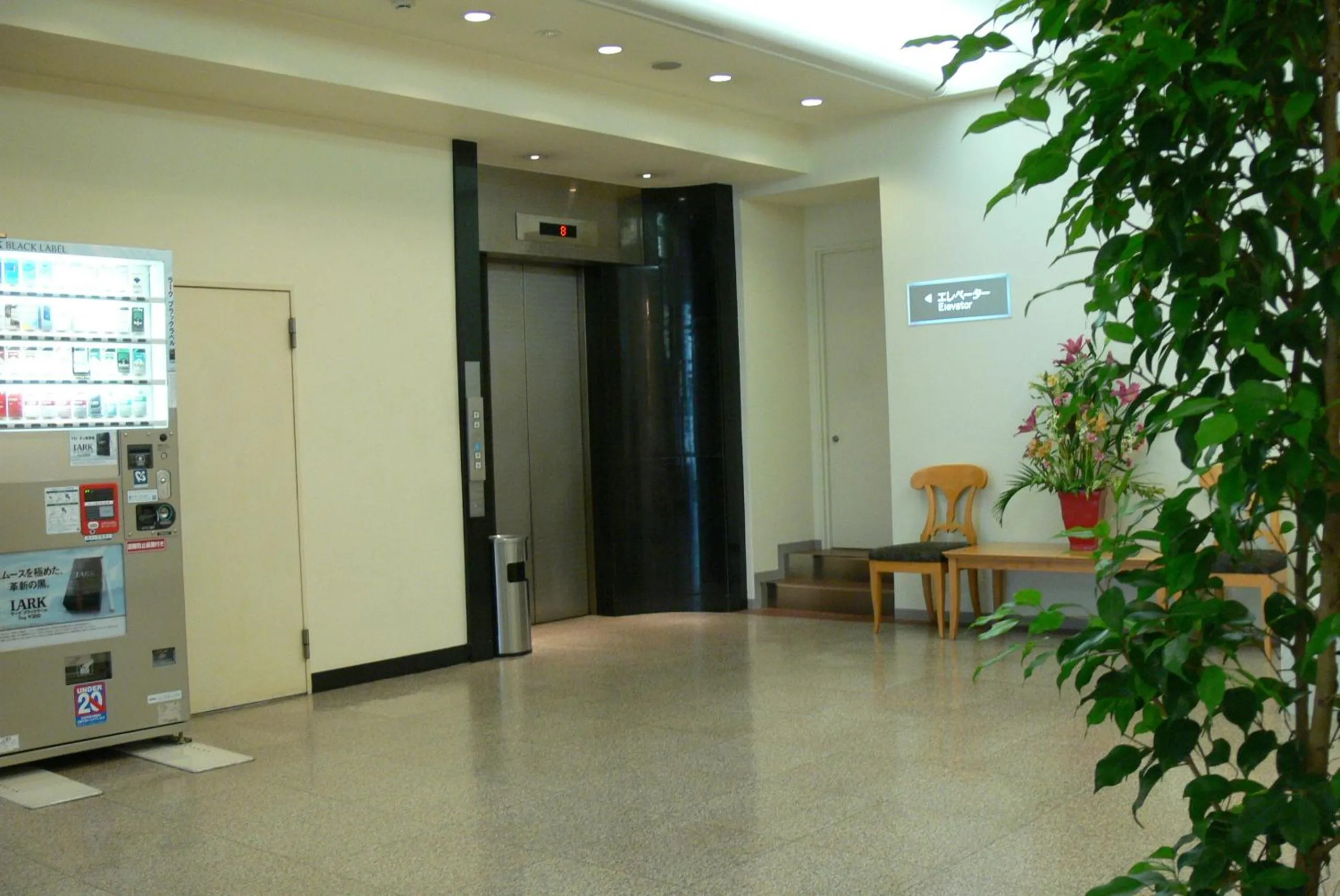 Area and facilities in Sun Palace Hotel