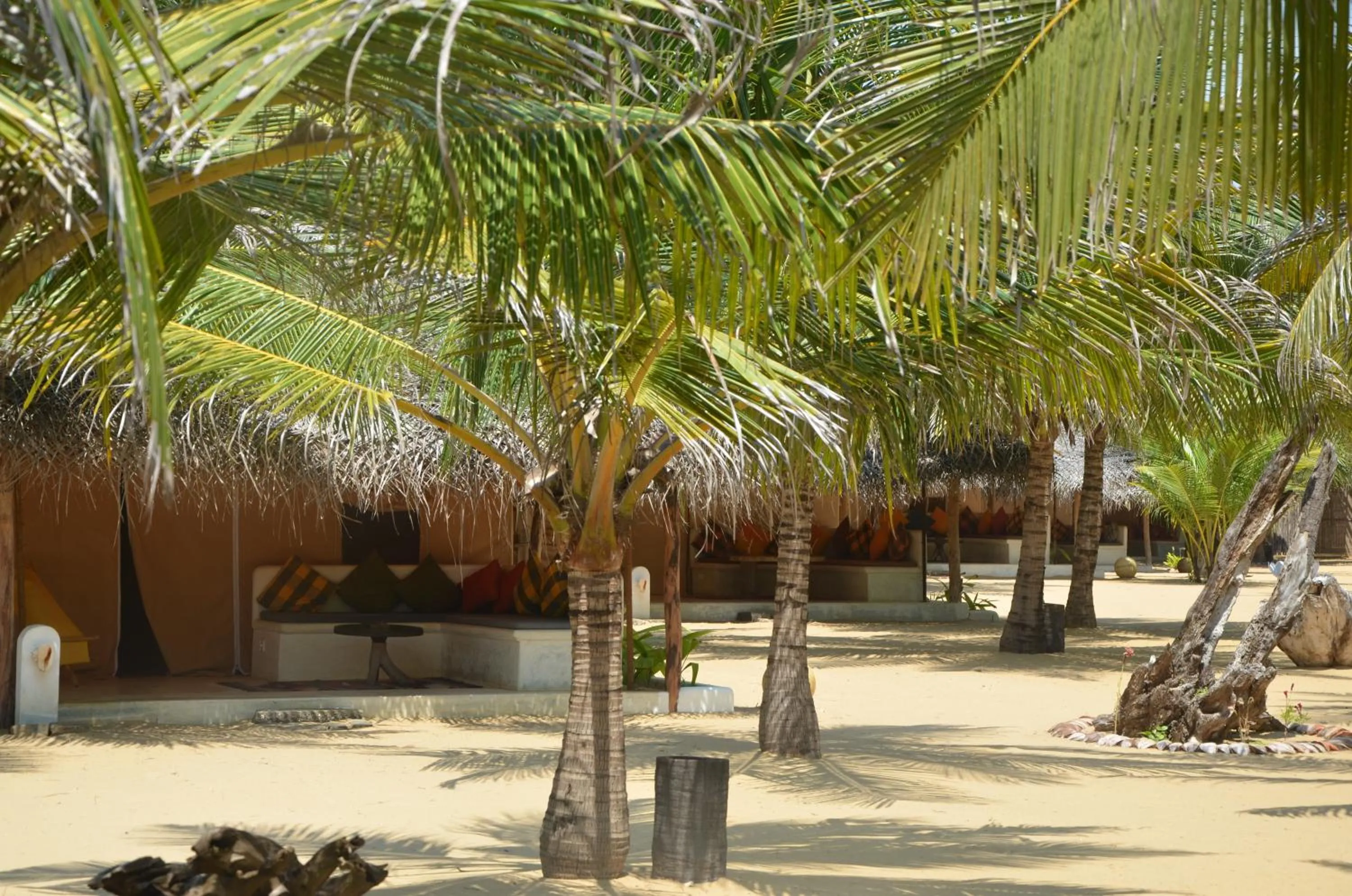 Other in Dolphin Beach Resort