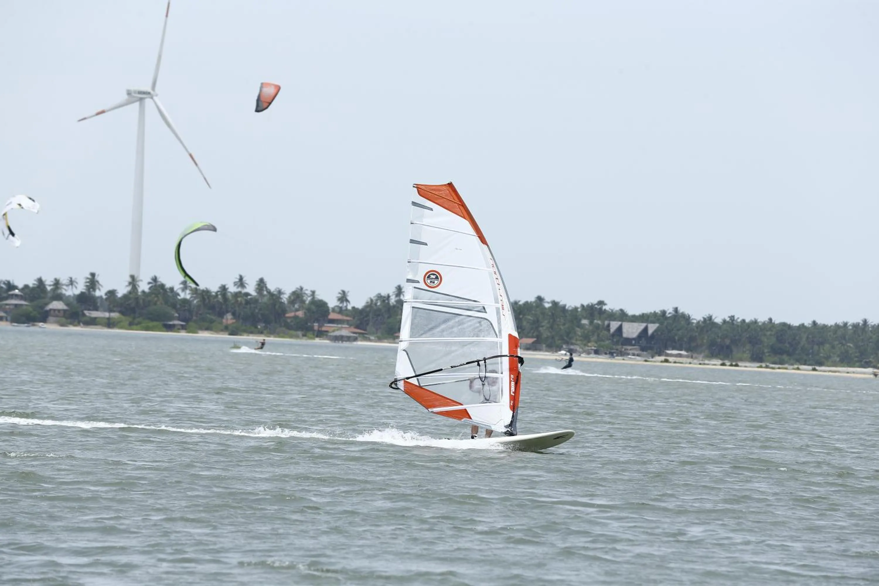 Activities in Dolphin Beach Resort