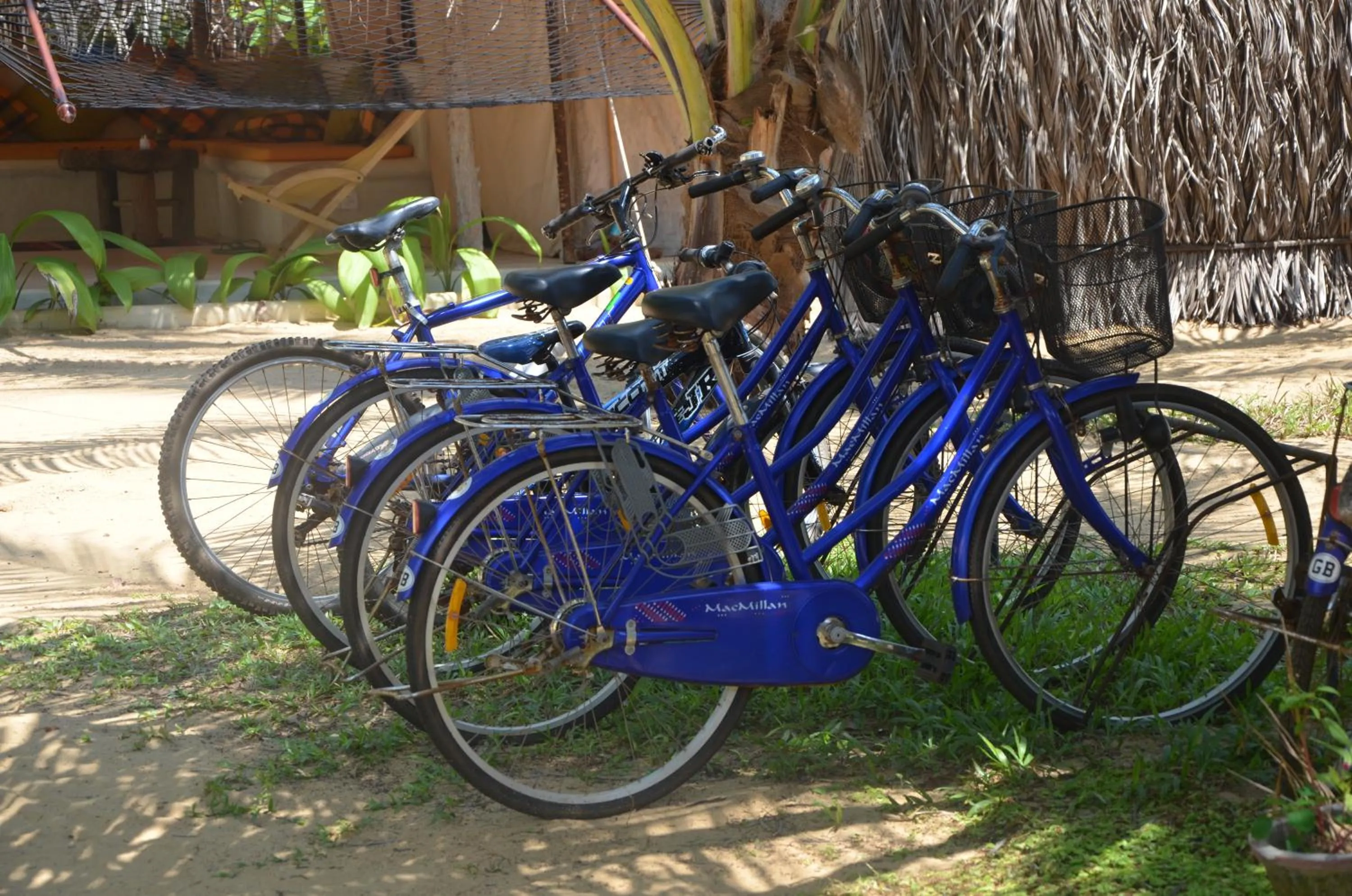 Other in Dolphin Beach Resort