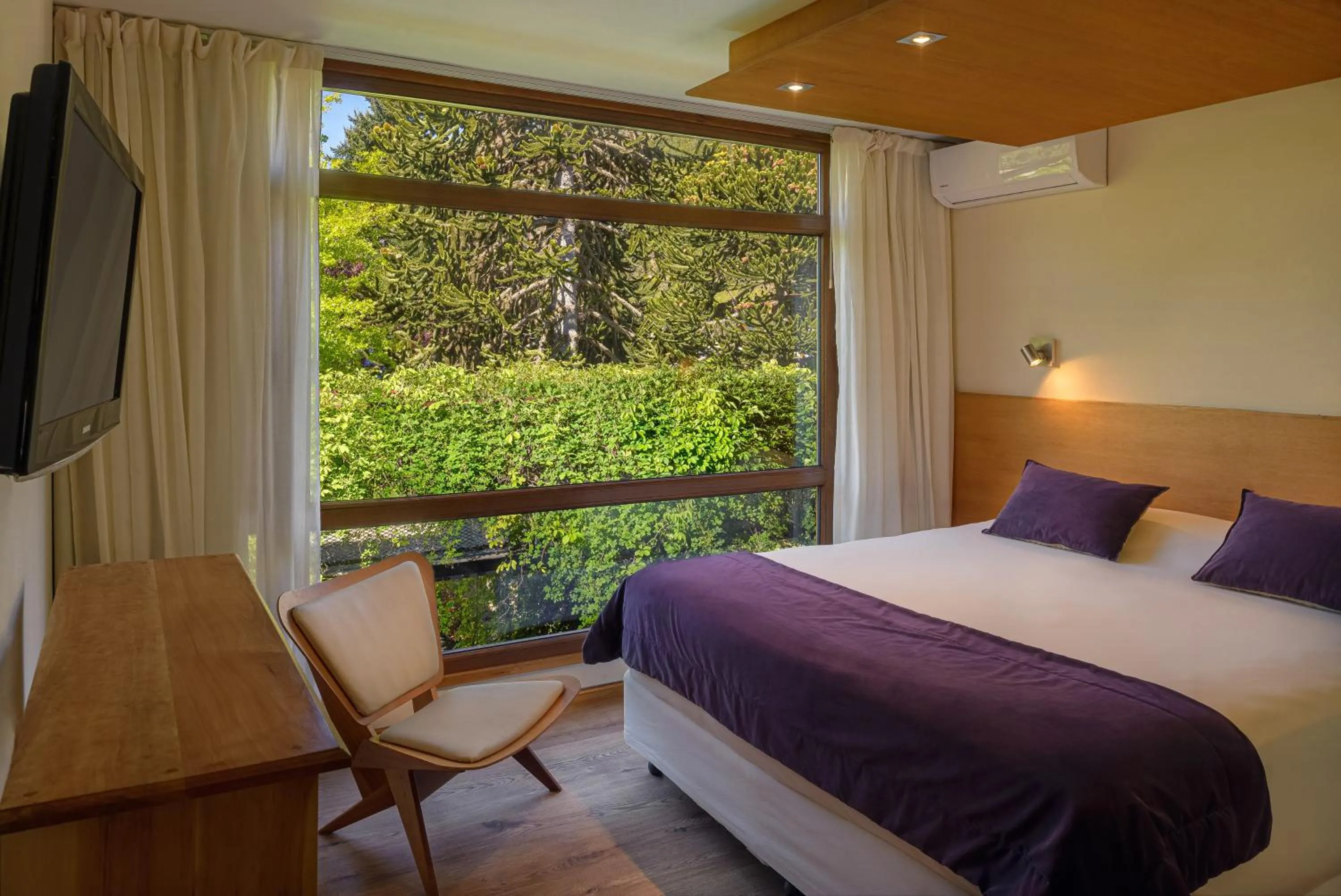 Amonite Apart & Spa