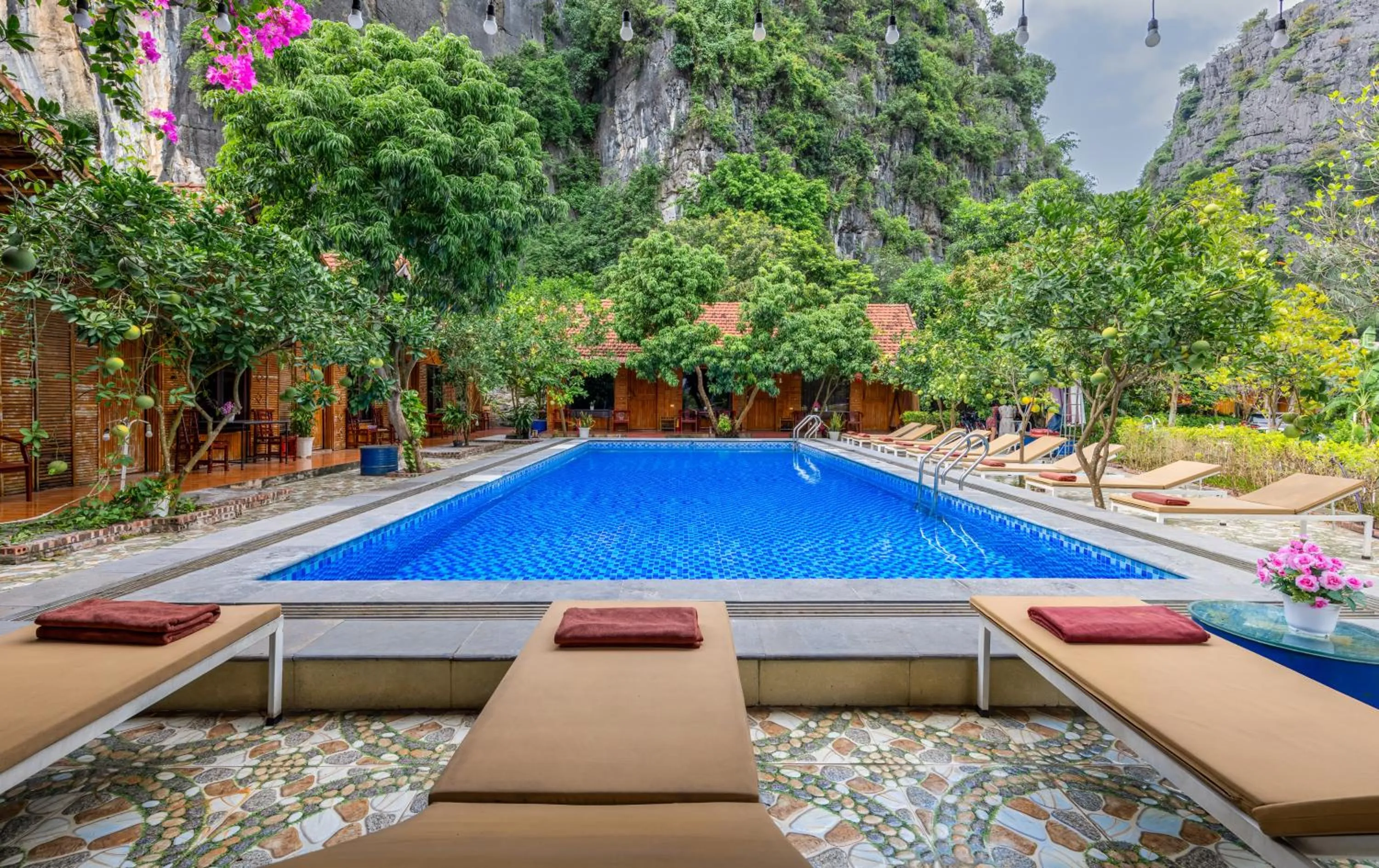 Spring in Eco Field Nest Tam Coc