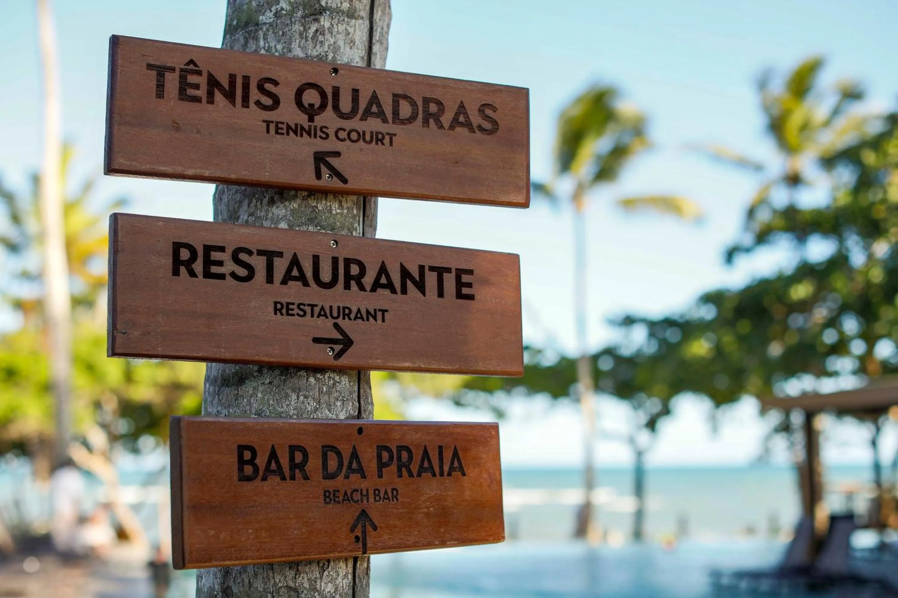 Food and drinks in Kûara Hotel