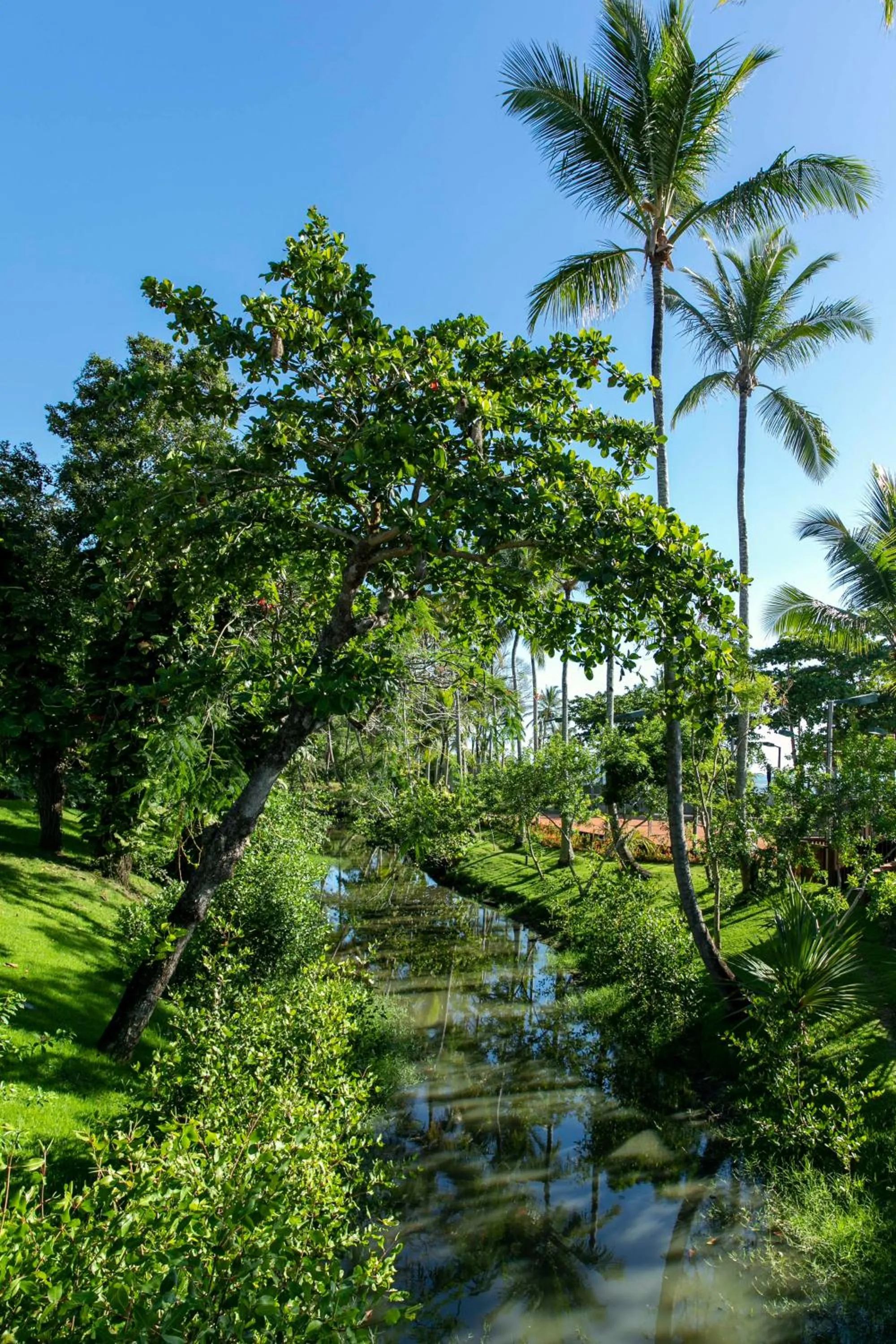 Natural landscape in Kûara Hotel