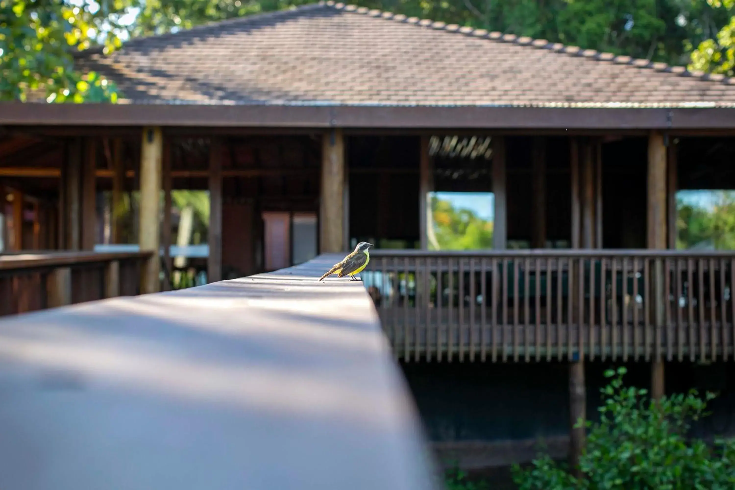 Lobby or reception in Kûara Hotel Lobby or reception in Kûara Hotel