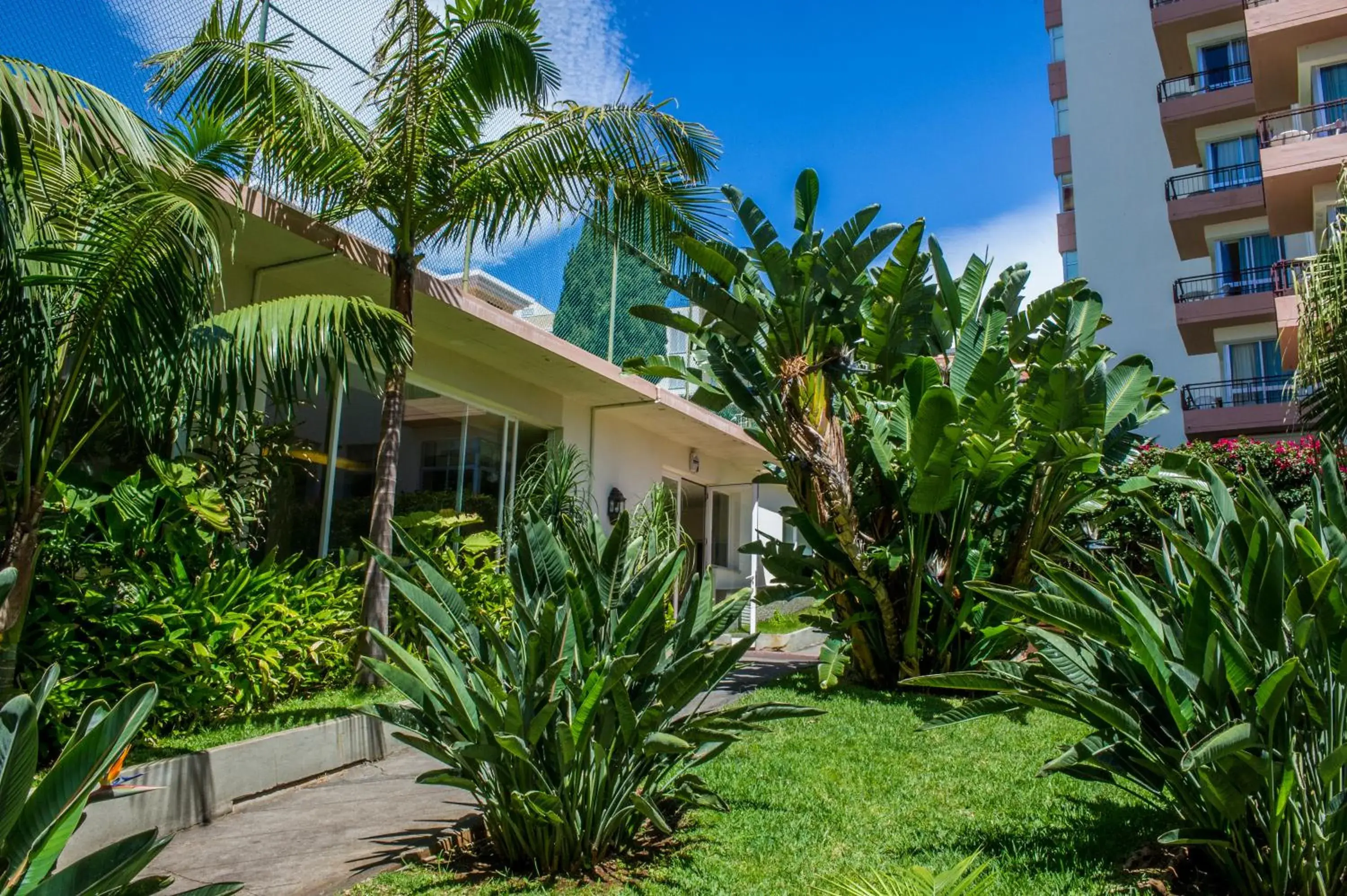 Property building in Dorisol Buganvilia Studio Hotel Property building in Dorisol Buganvilia Studio Hotel