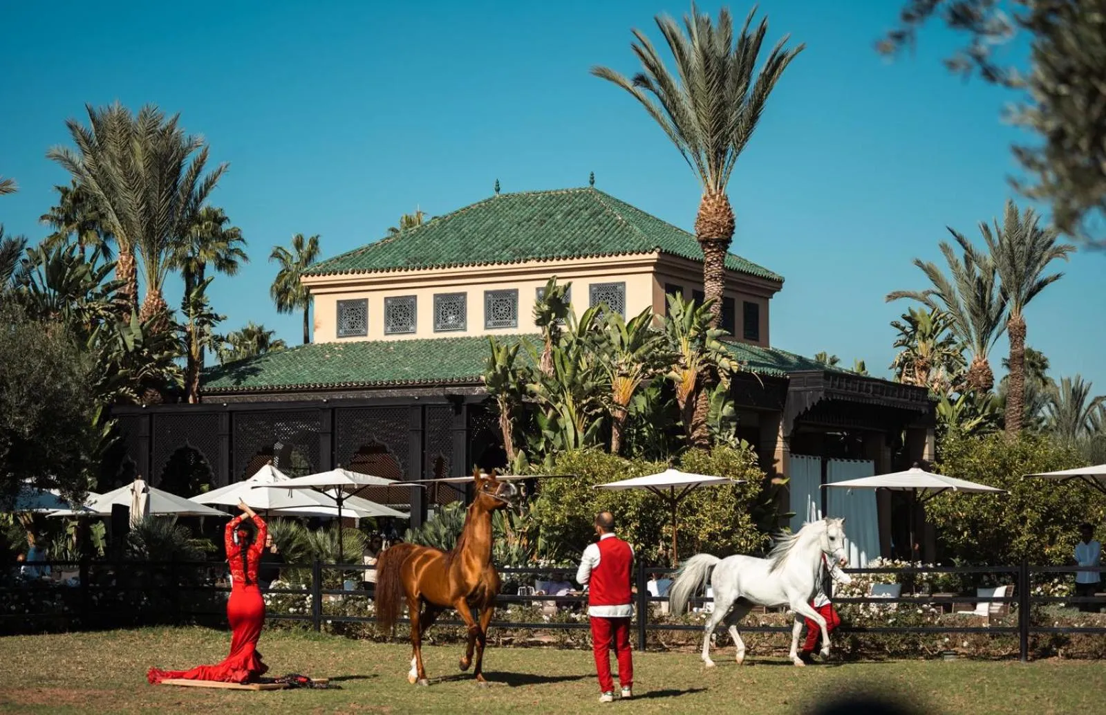Restaurant/places to eat in Selman Marrakech