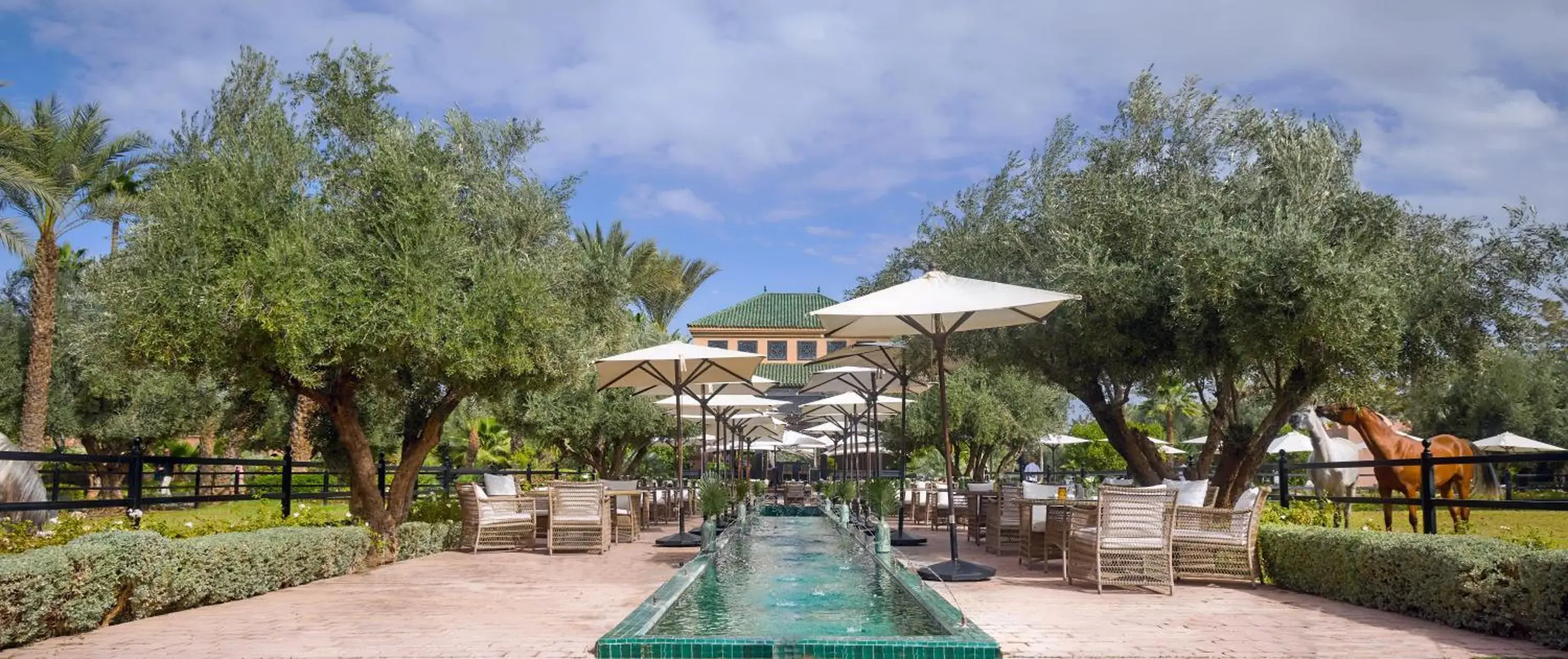 Restaurant/places to eat in Selman Marrakech Restaurant/places to eat in Selman Marrakech