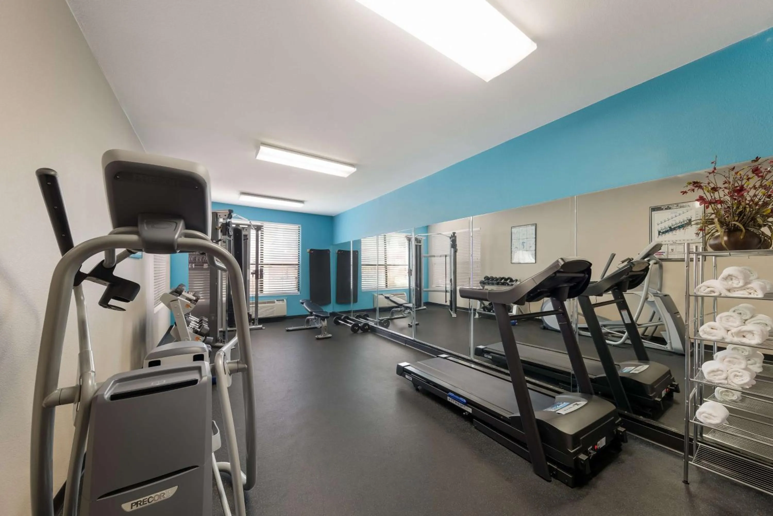 Fitness centre/facilities in SureStay Plus Hotel by Best Western Plano