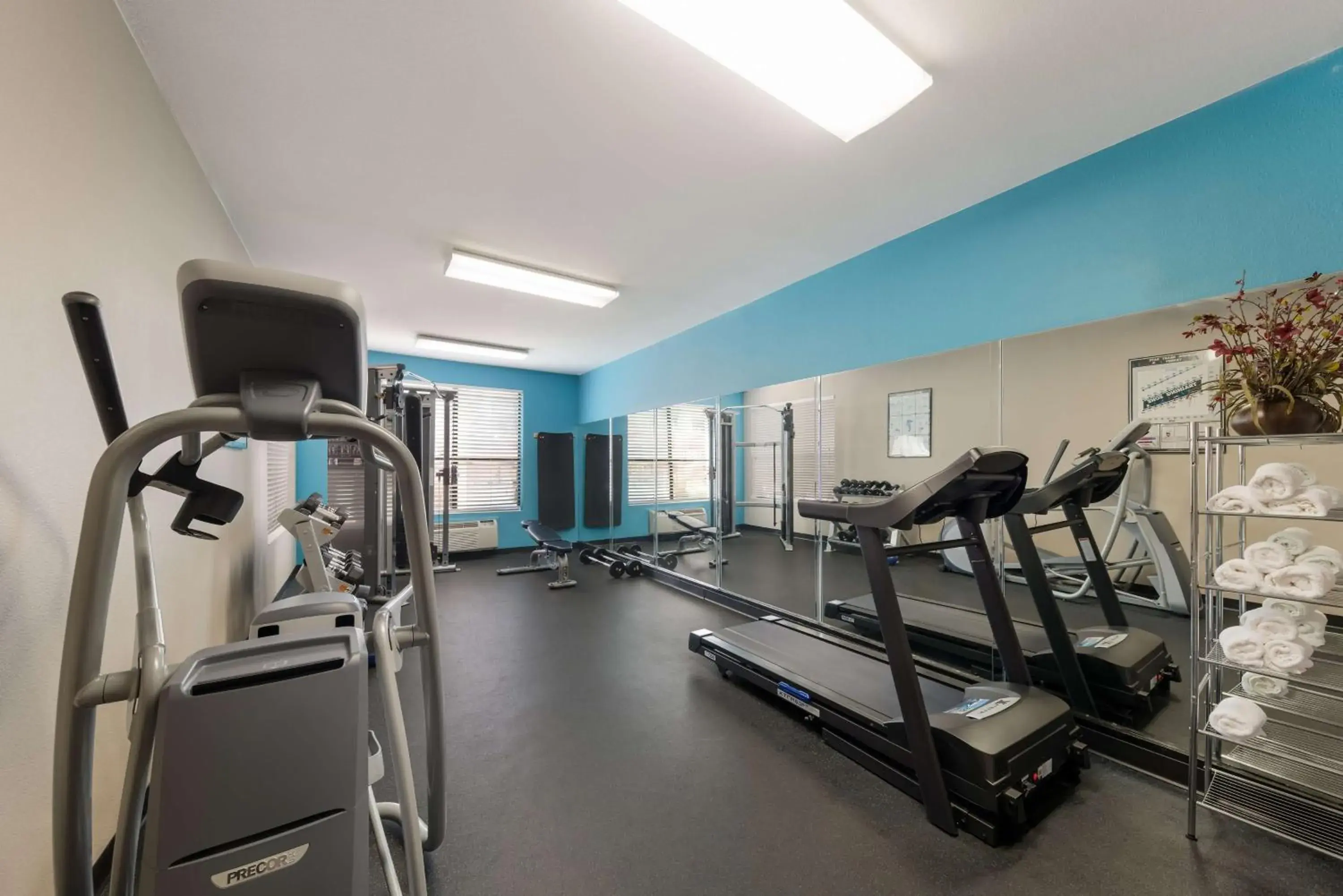 Fitness centre/facilities in SureStay Plus Hotel by Best Western Plano Fitness centre/facilities in SureStay Plus Hotel by Best Western Plano