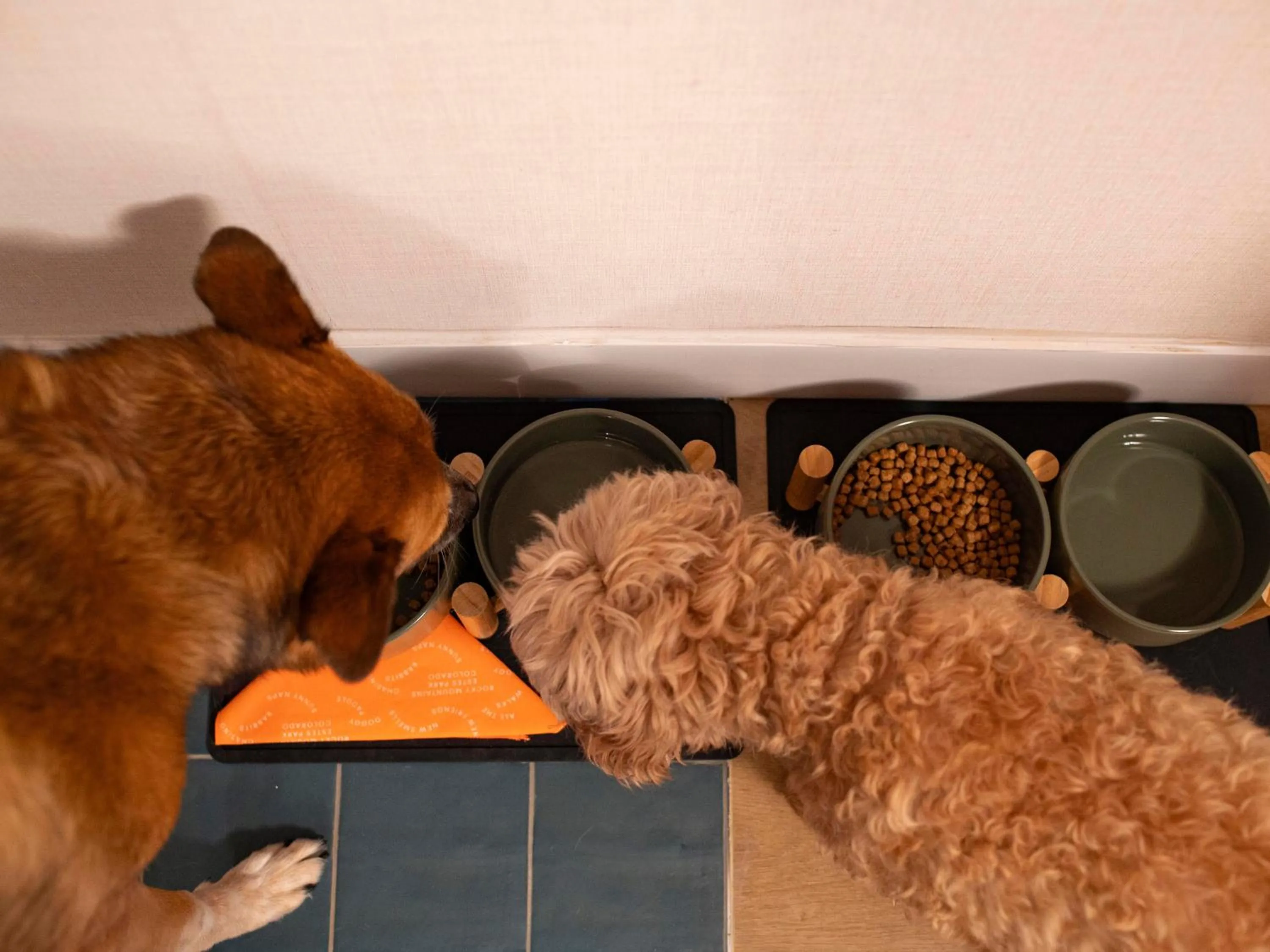 Trailborn Rocky Mountains Outpost