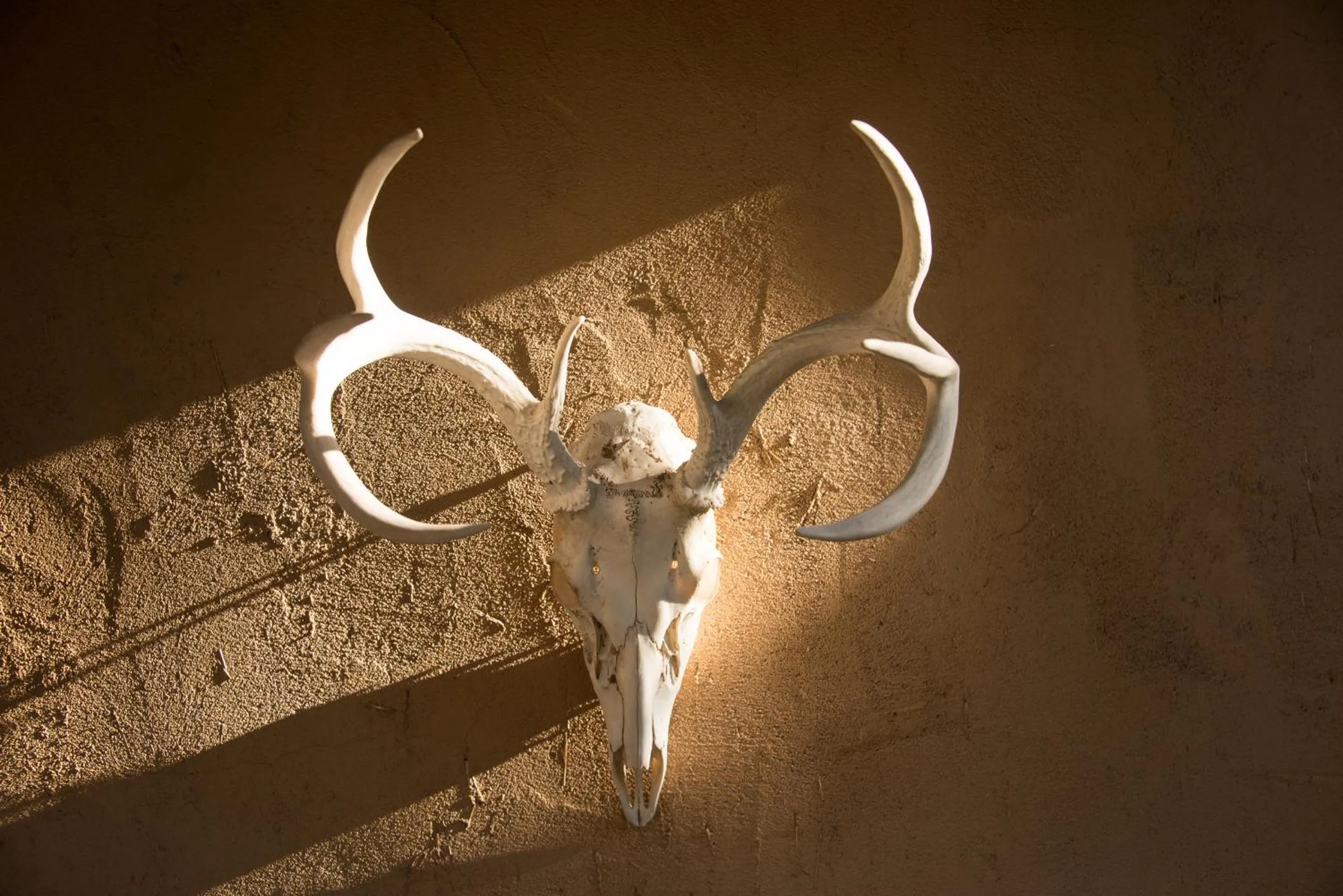 Decorative detail in Inn of the Turquoise Bear