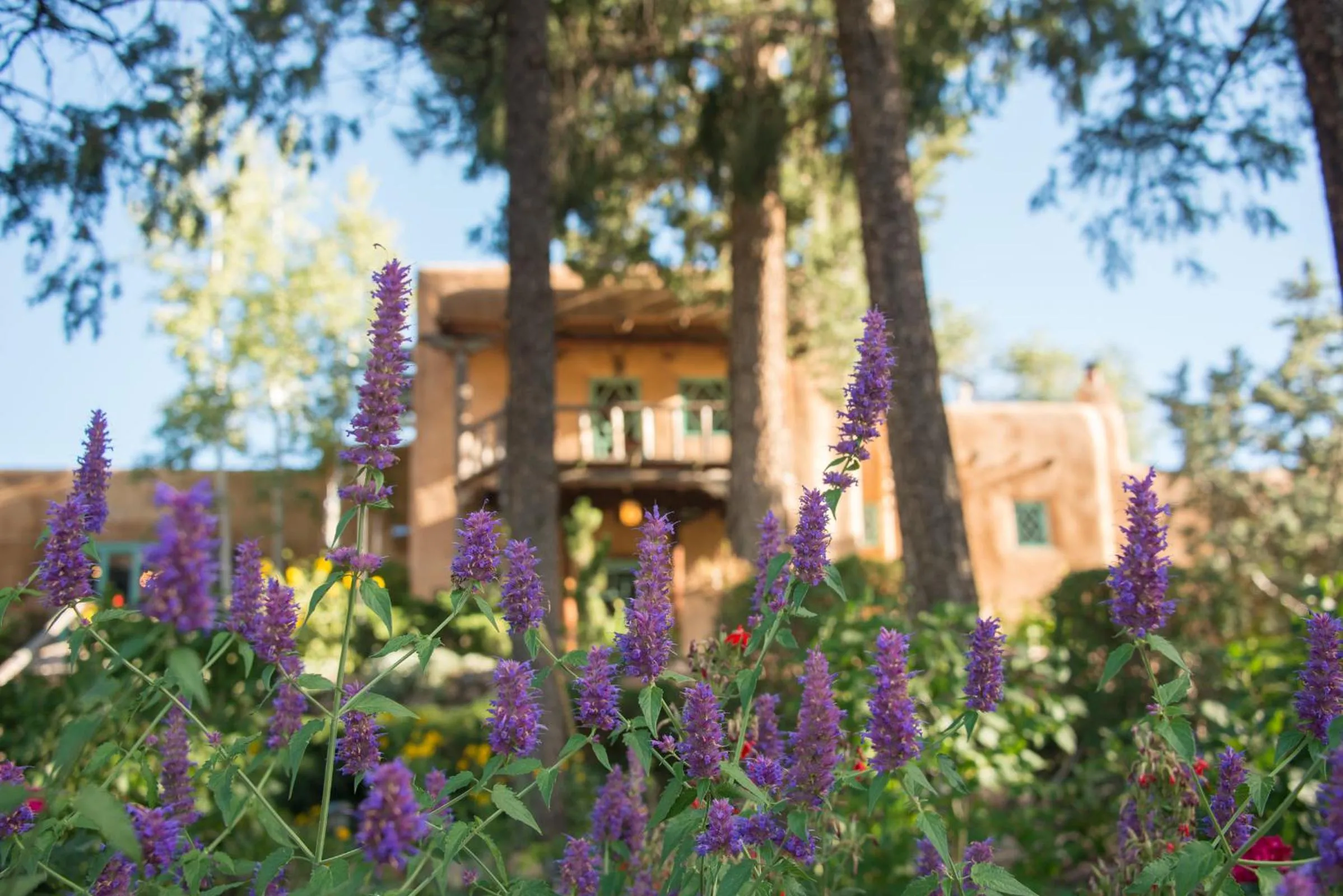 Facade/entrance in Inn of the Turquoise Bear