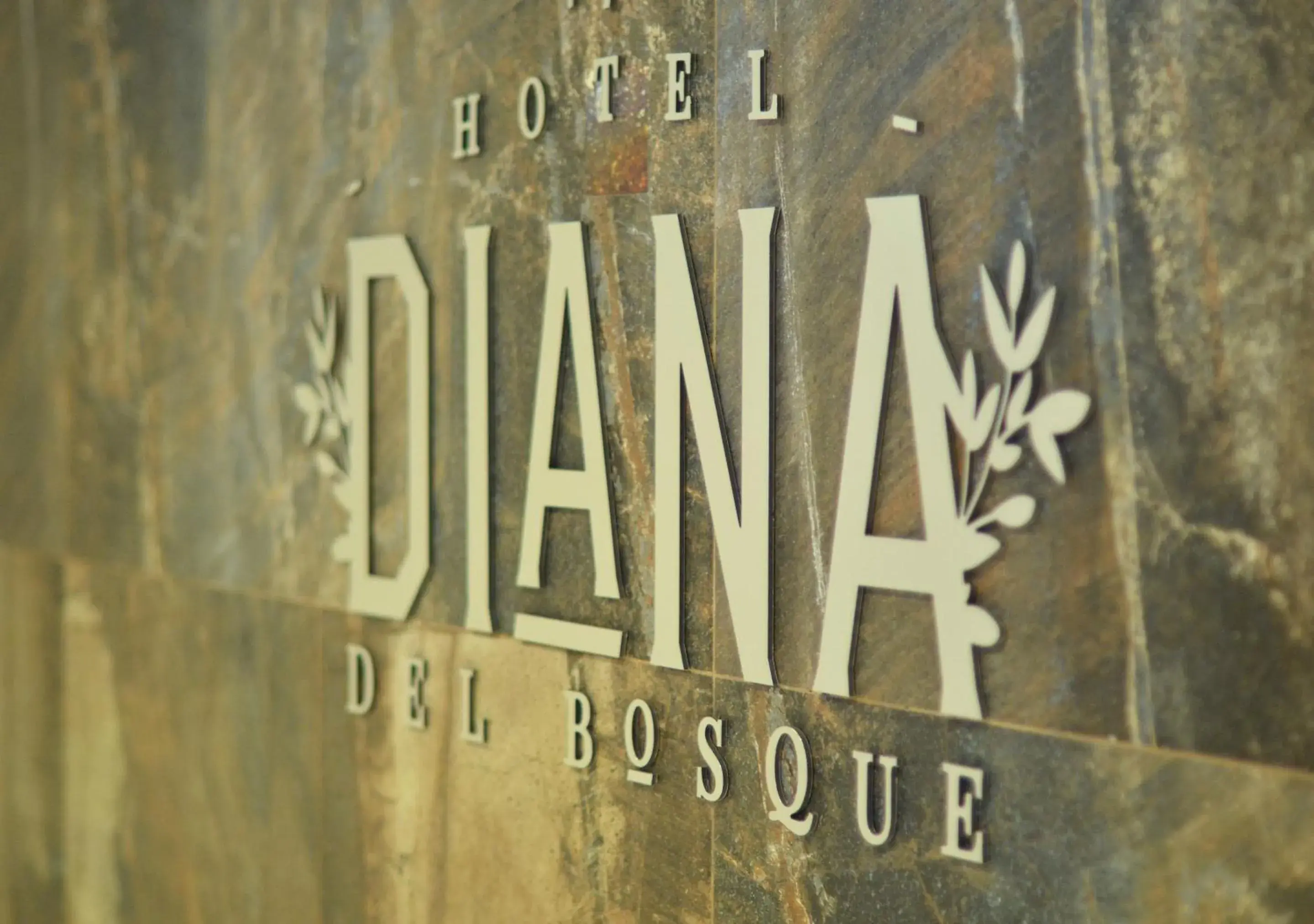 Facade/entrance in Hotel Diana del Bosque by DOT Urban Facade/entrance in Hotel Diana del Bosque by DOT Urban