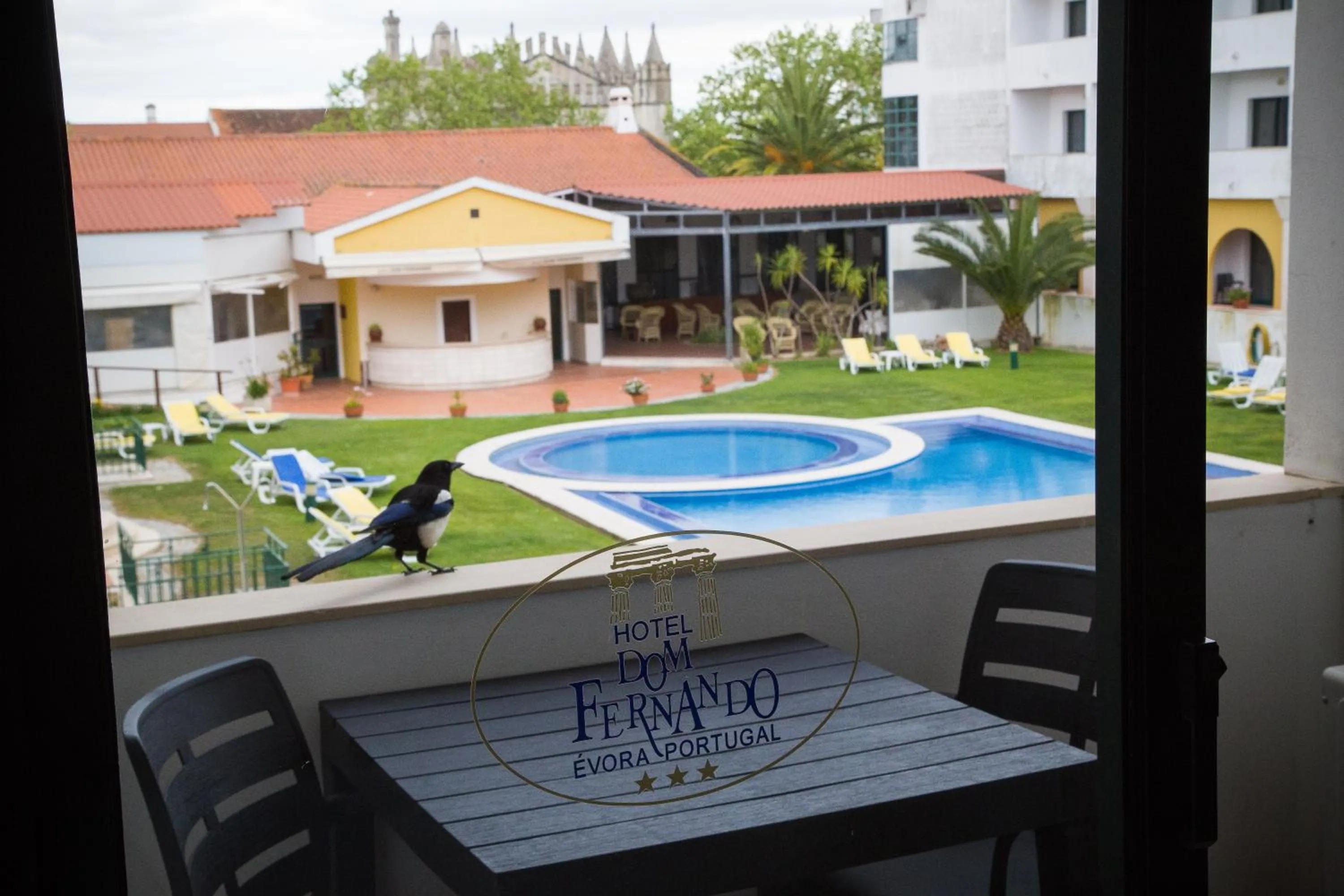 Balcony/Terrace, Swimming Pool in Hotel Dom Fernando
