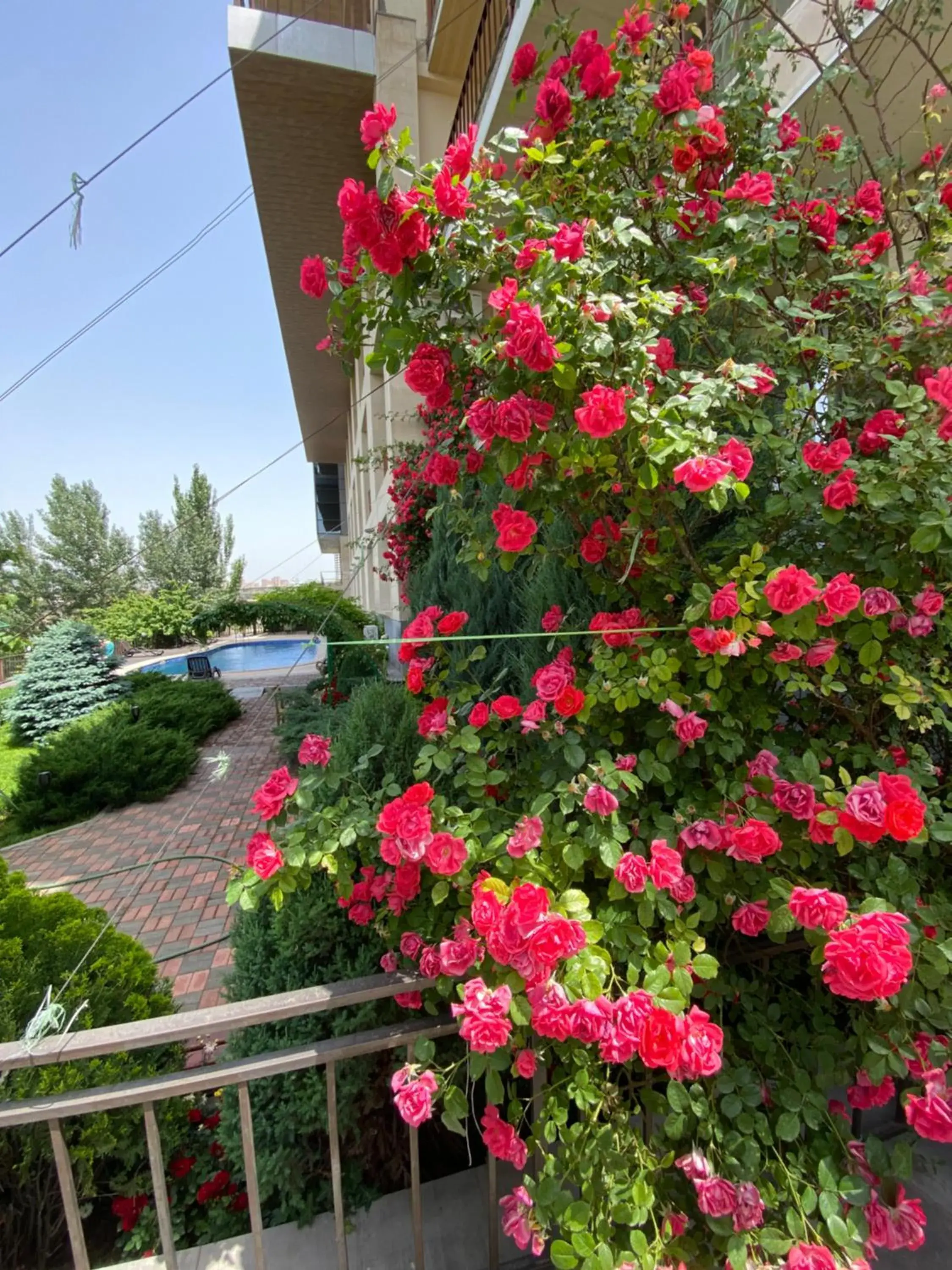 Property building in Olympia Garden Hotel Property building in Olympia Garden Hotel