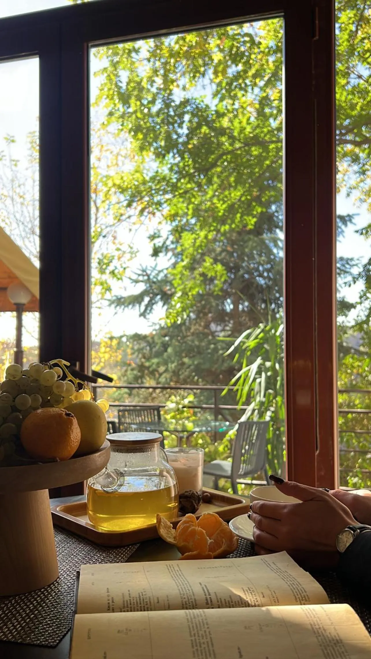 Day in Olympia Garden Hotel