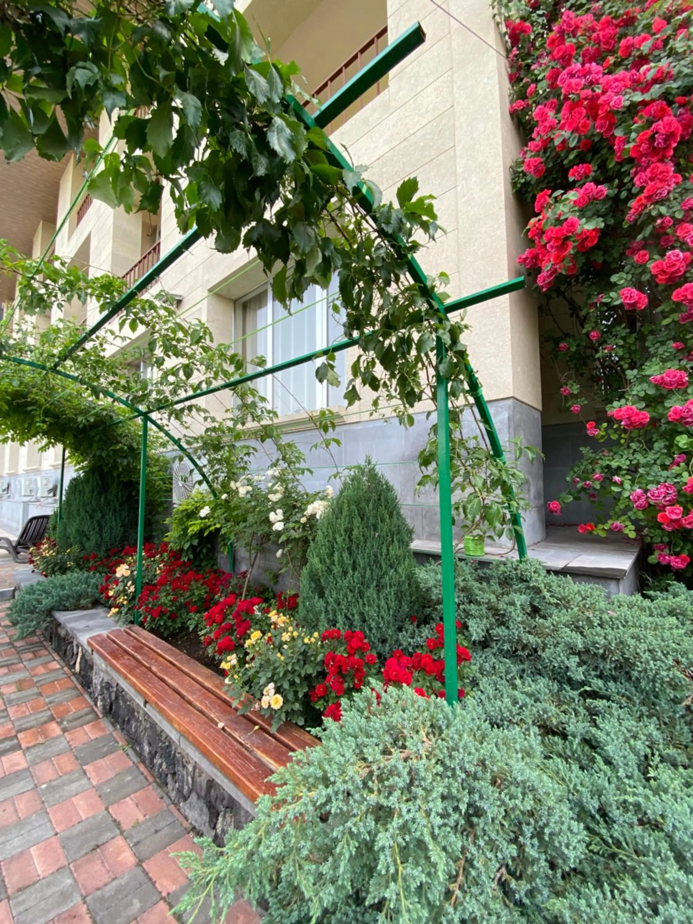 Garden in Olympia Garden Hotel