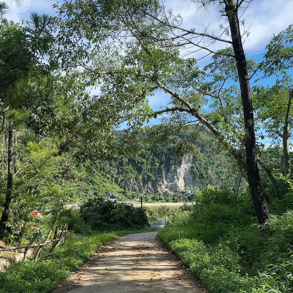 Swimming pool in Cat Ba Eco Lodge