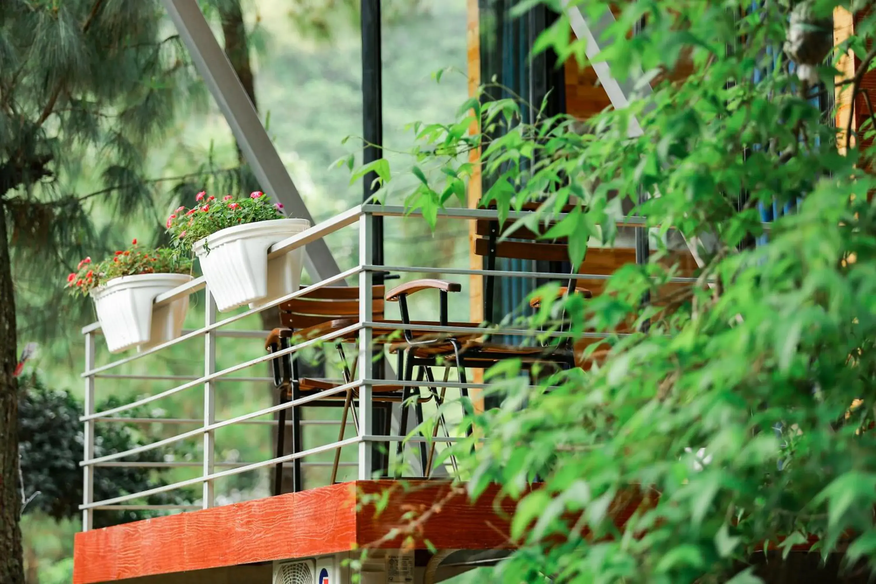 Chalet - single occupancy in Cat Ba Eco Lodge Chalet - single occupancy in Cat Ba Eco Lodge